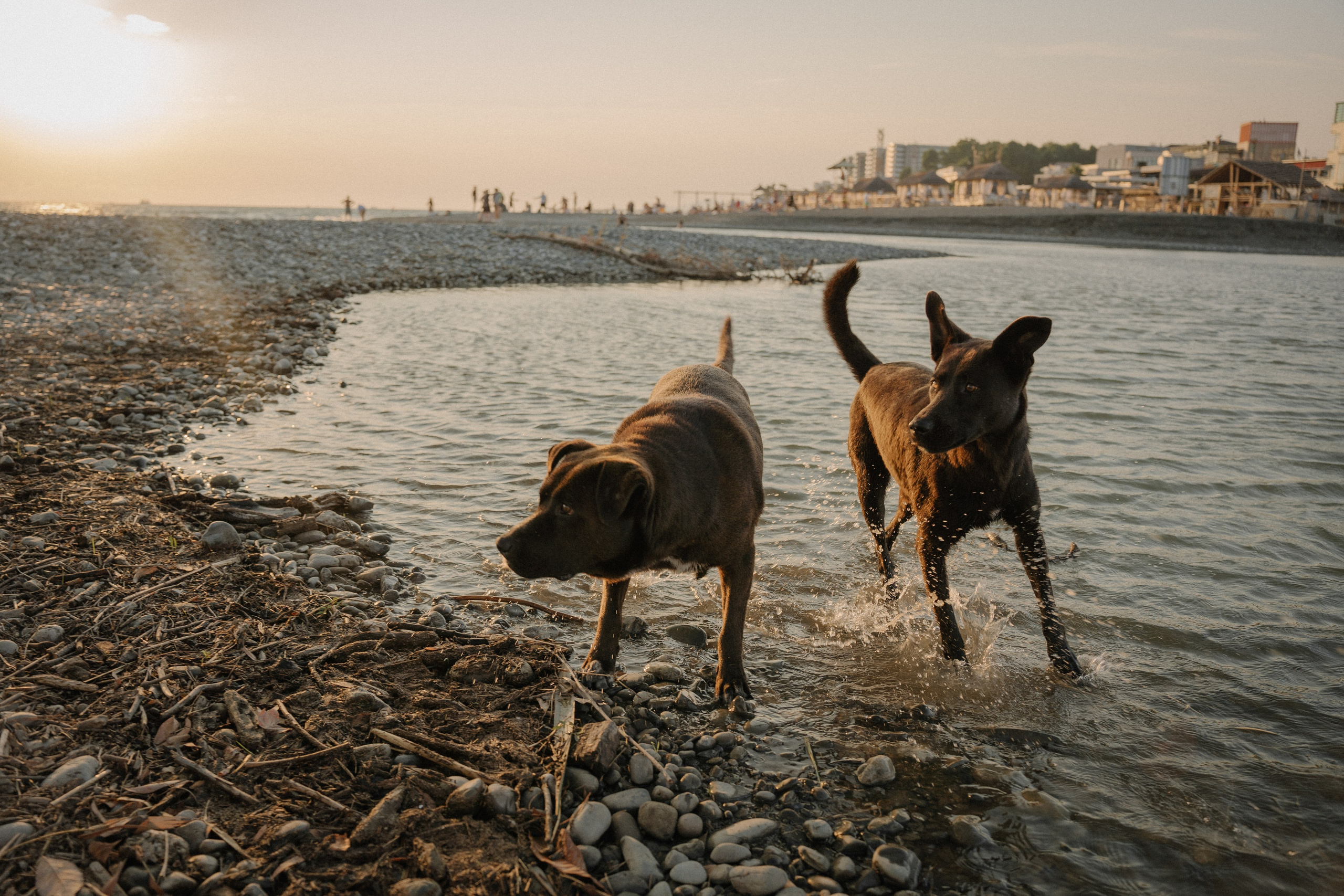 15. Фотограф Батуми | Ксения Кинасова