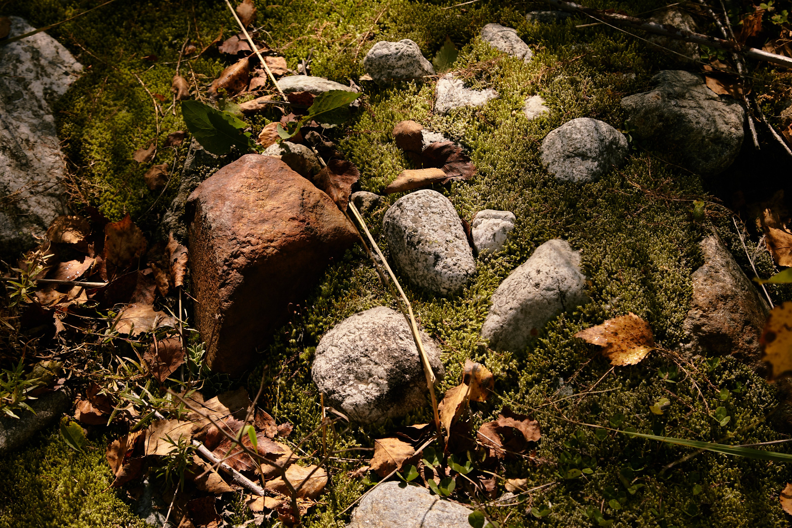 Чегем, дорога к леднику Шаурту. Фотограф Продюсер в горах КБР / Москва  Нальчик Горы