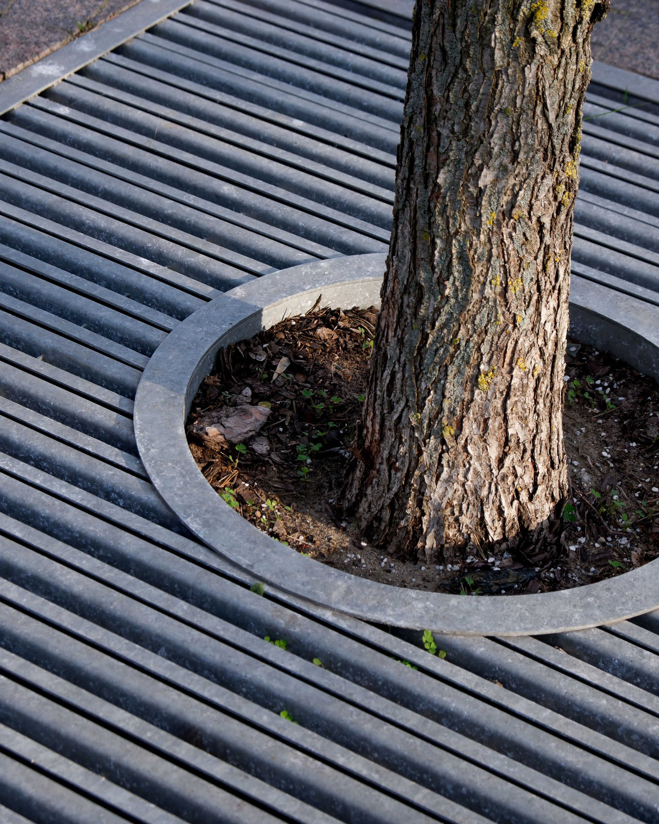 Набережная Марка Шагала. Михаил Мулач | Архитектурный фотограф