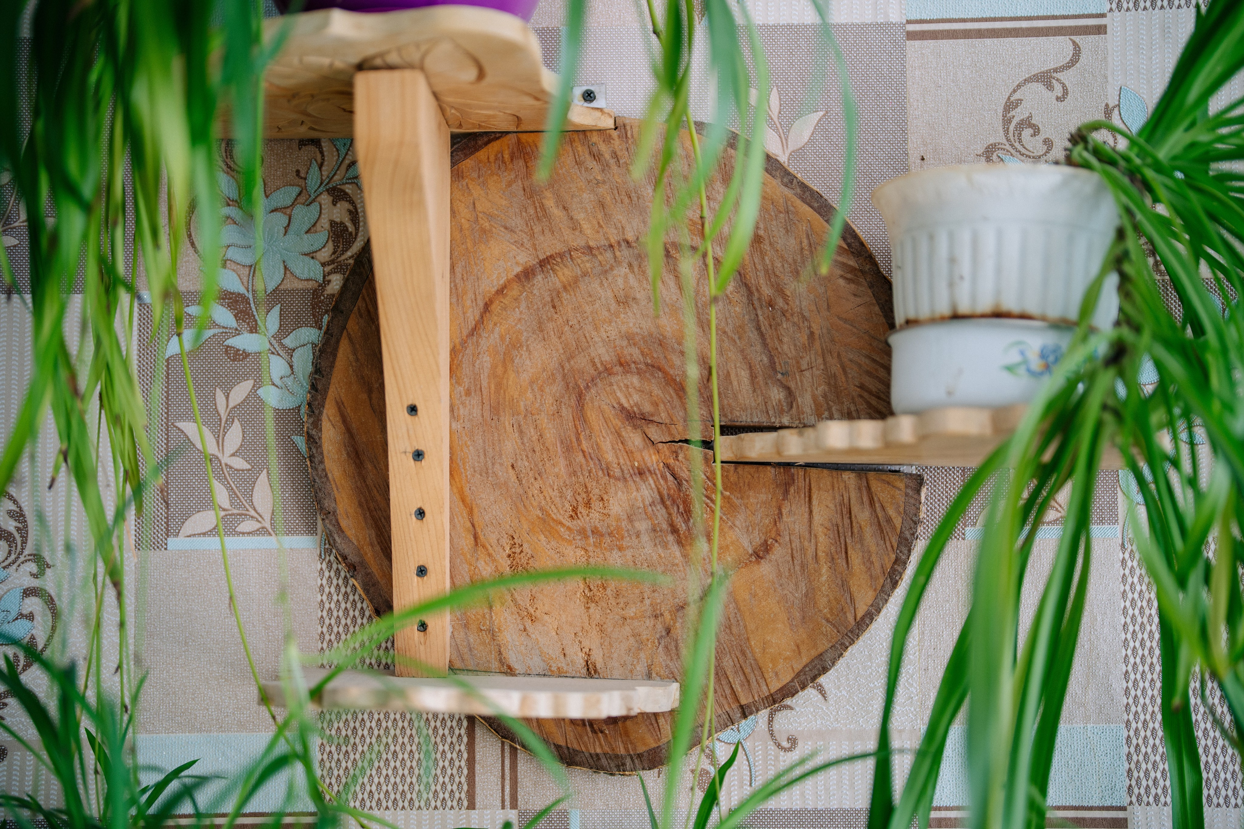 Сюжет № 5|Лев Владимирович Крашенинников