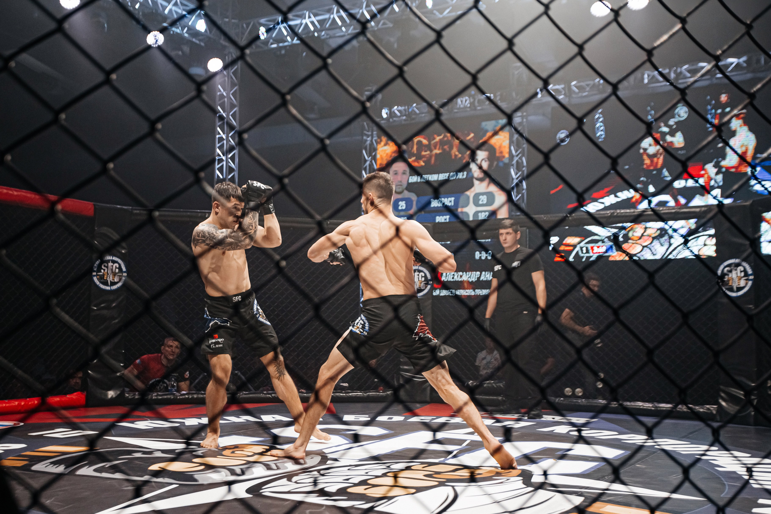 SFC III турнир по боям ММА. Аминов Руслан | Фотограф