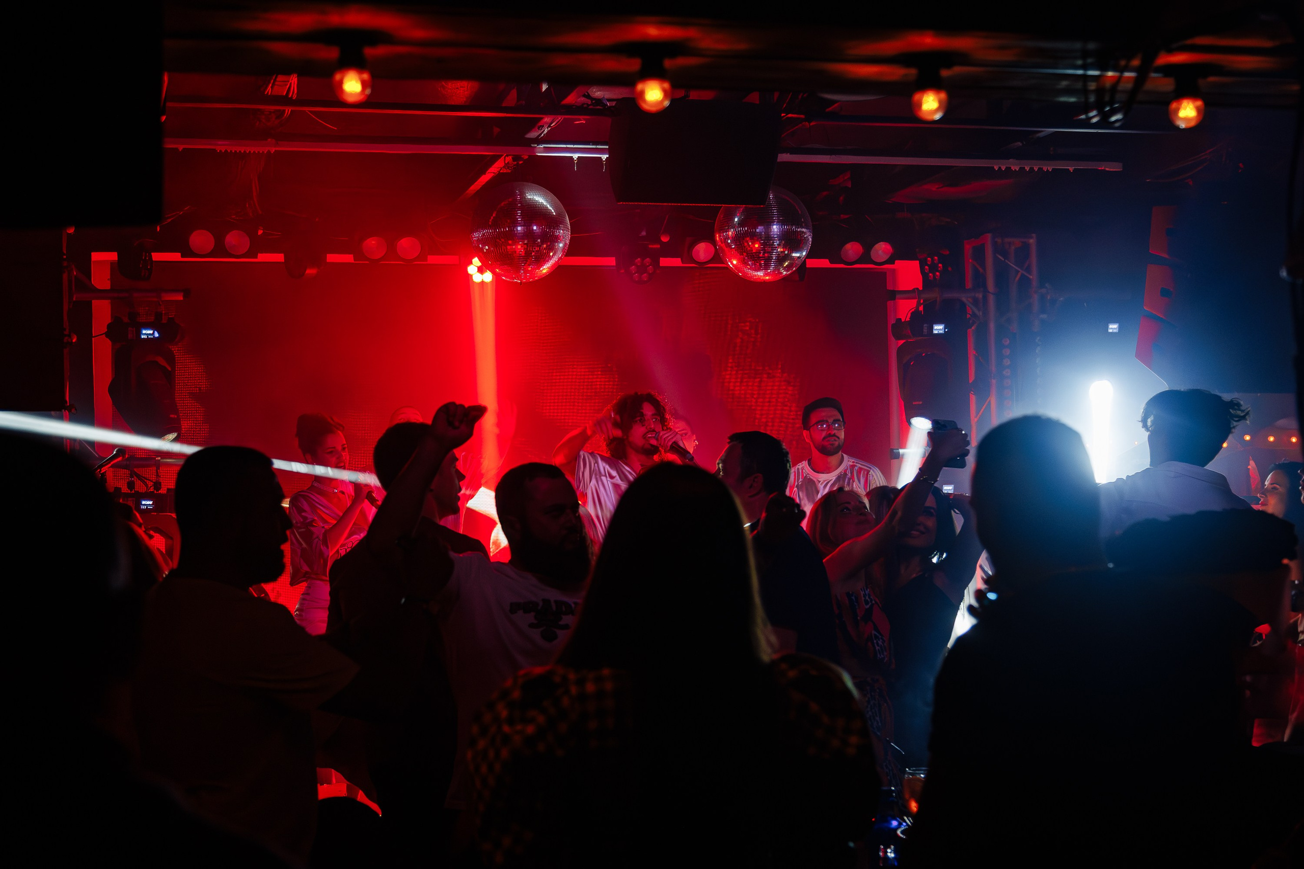 «МИША МАРВИН"_Чайка на пляже_Ялта_14.06.2025. Аминов Руслан | Фотограф