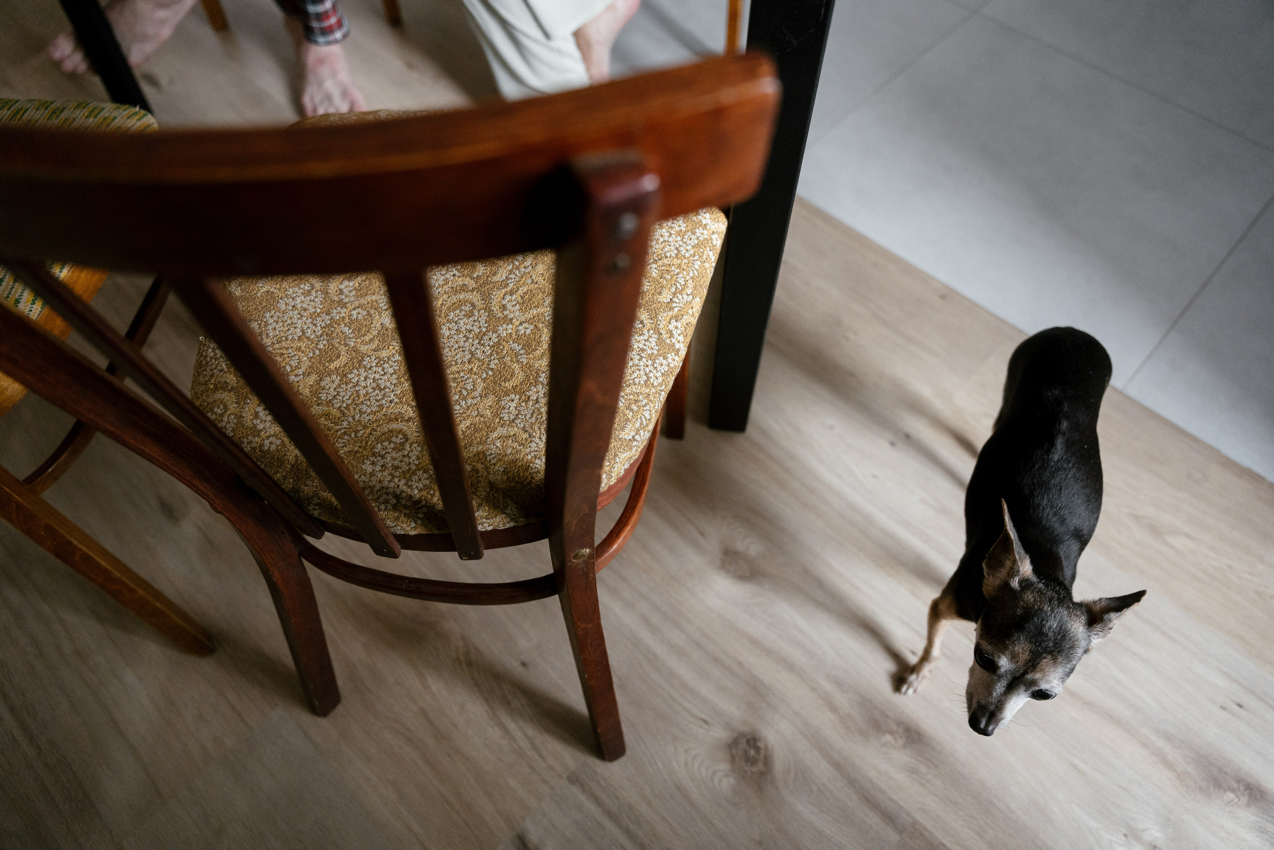 Витя и Аня. Фотограф Томск, Новосибирск Влад Свириденко