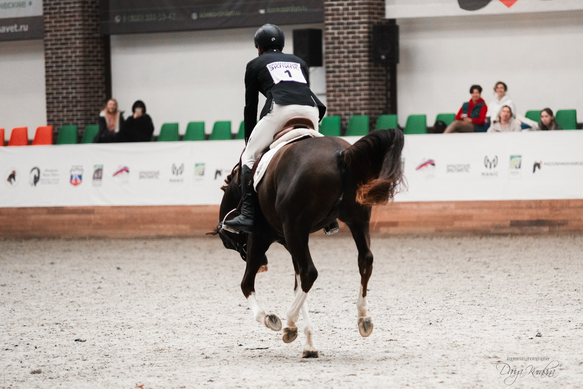 8-я международная выставка Конная Россия. Конный фотограф Куракина Дарья • Фотосессии с лошадьми