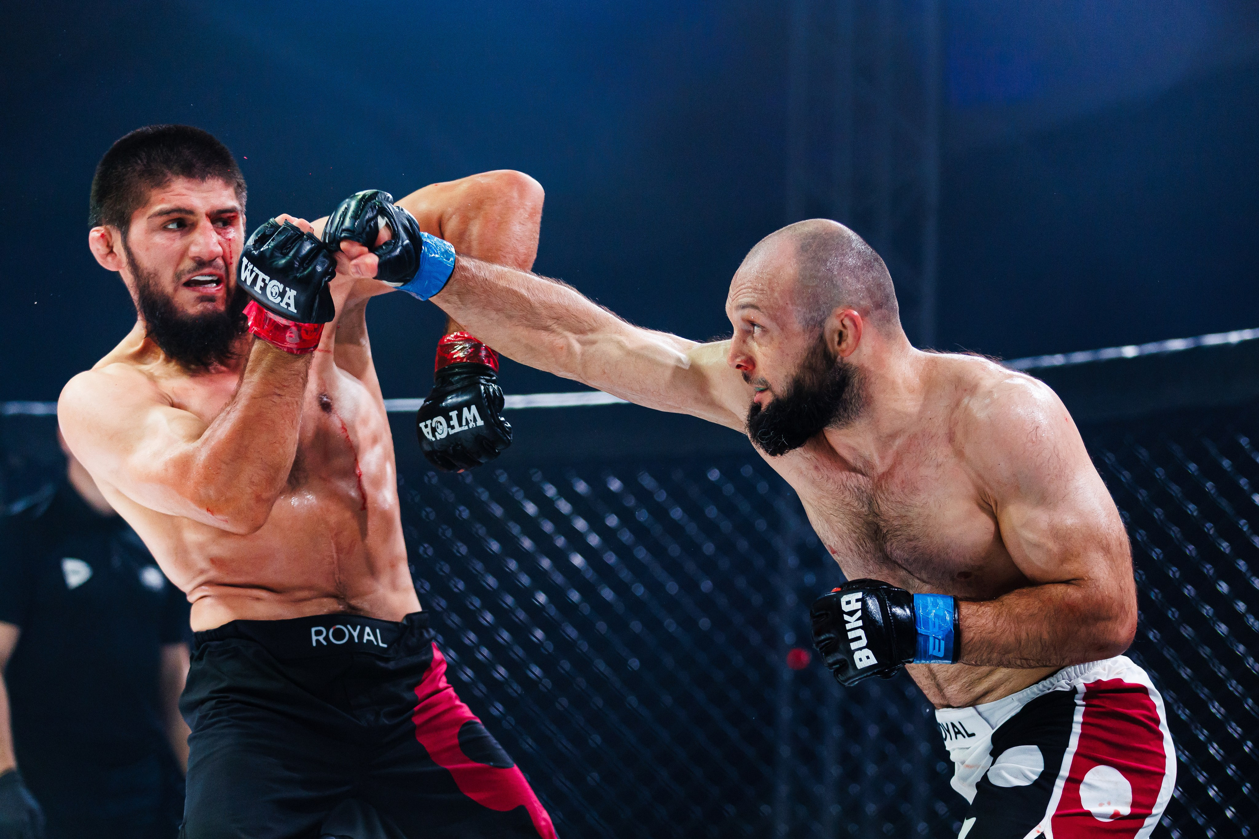 ММА. Спортивный фотограф Денис Веселов в Нижнем Новгороде