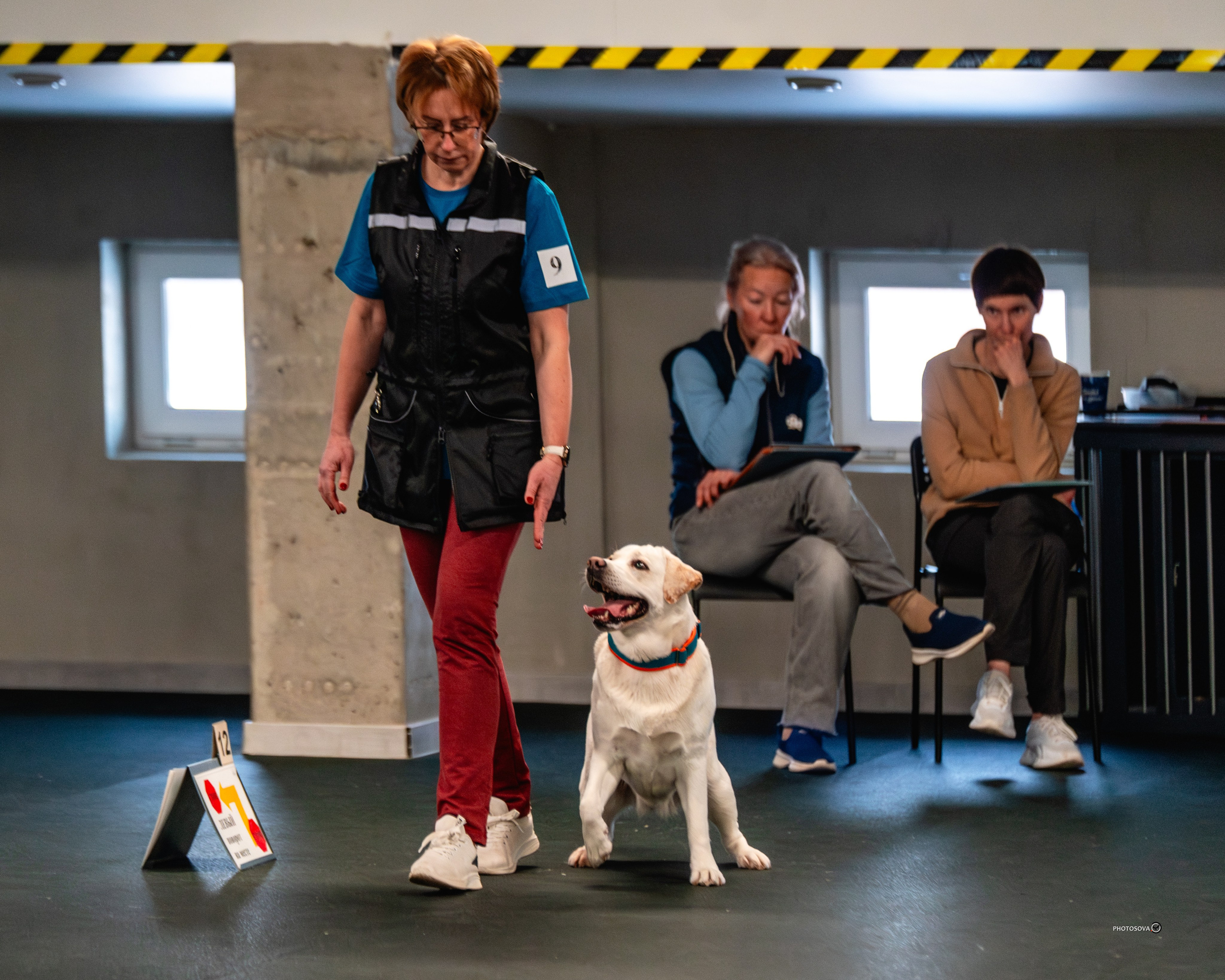 ТЫ И Я (соревнования по ралли-обидиенс). Фотограф-анималист, семейный фотограф в Москве и Подмосковье. Фотосъёмка кинологических дисциплин