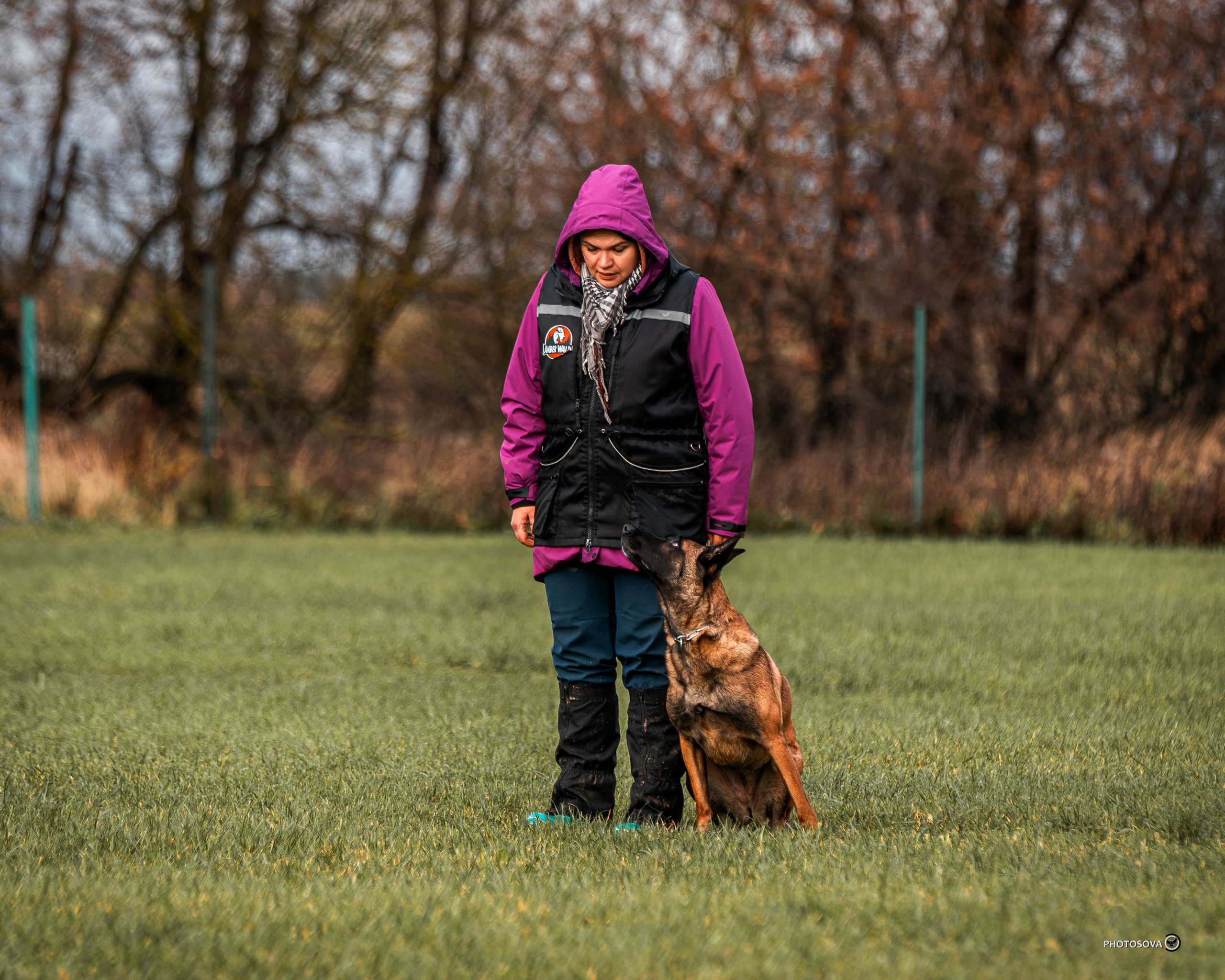 МЫ — КОМАНДА (соревнования) OKD, BH, IBGH, IGP. Фотограф-анималист, семейный фотограф в Москве и Подмосковье. Фотосъёмка кинологических дисциплин