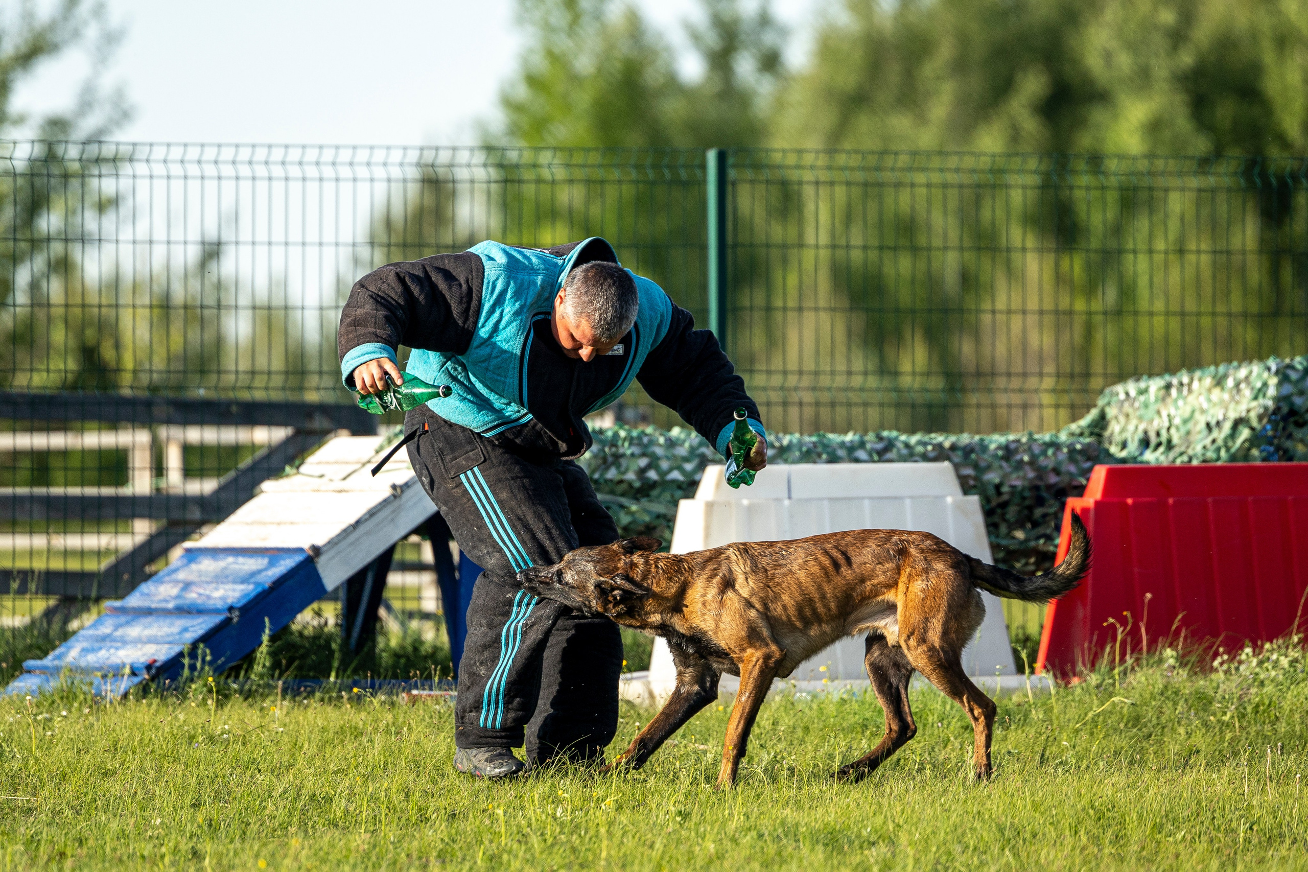 Испытания по мондьорингу в Нижнем Новгороде. Фотограф-анималист Анна Маринич