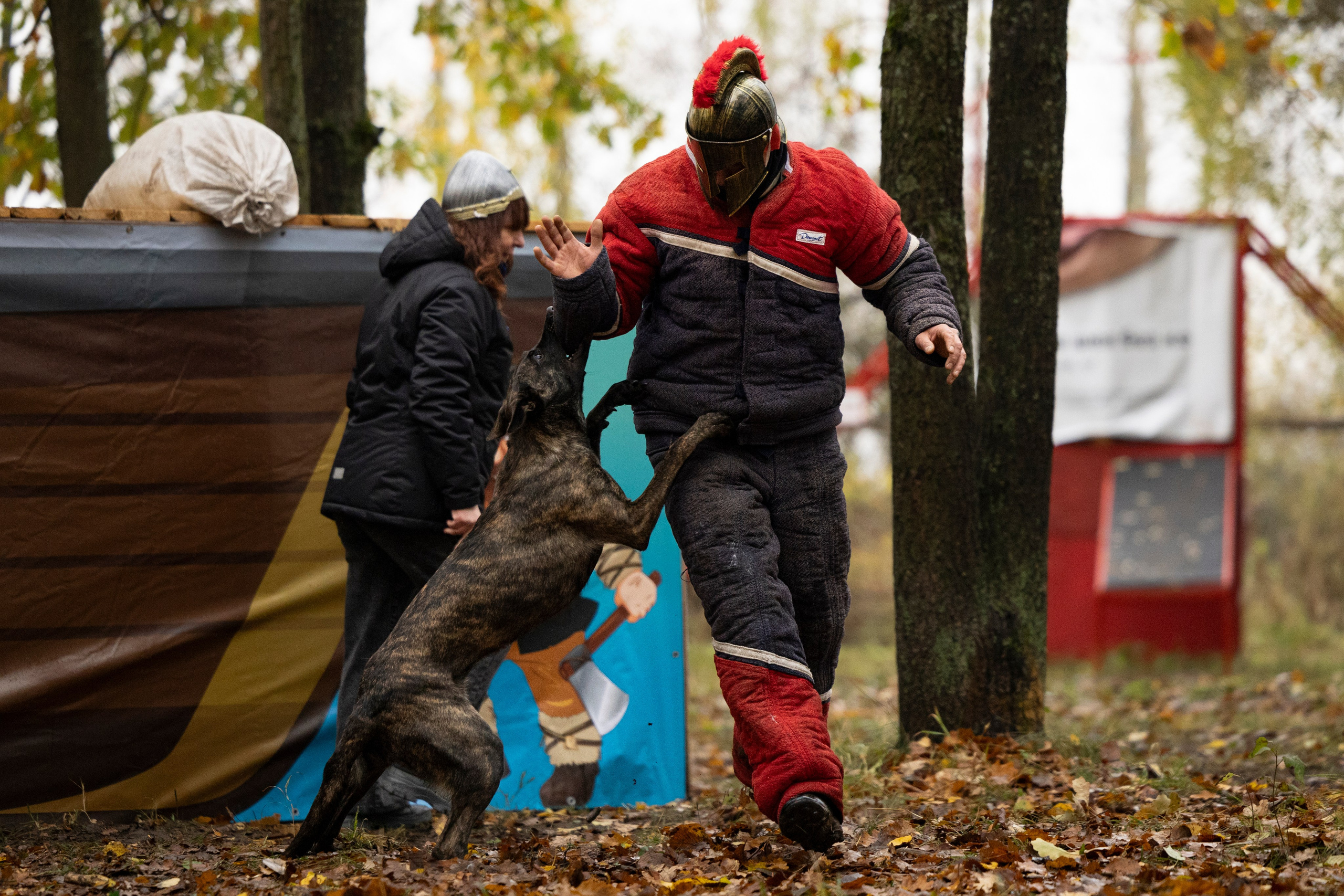 Соревнования по Мондьорингу г. Вологда. Фотограф-анималист Анна Маринич