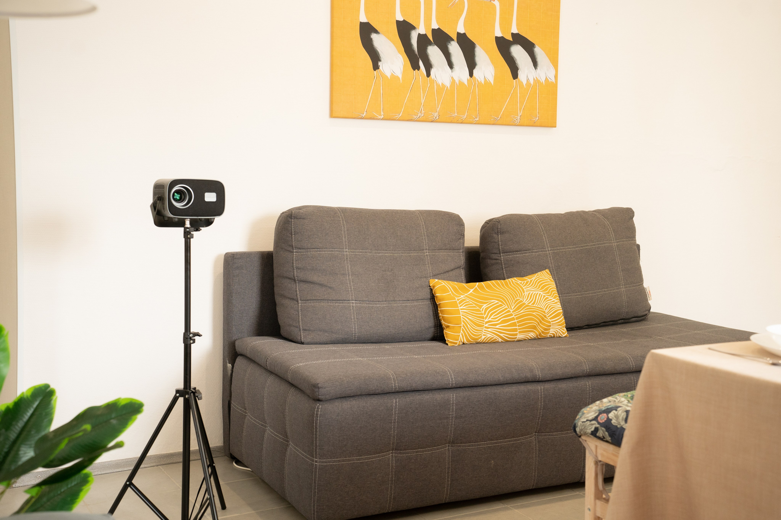 Интерьерная съемка на улице Рабочая. Фотограф, Портретные, семейный, детский, индивидуальный, Козлова Юлия