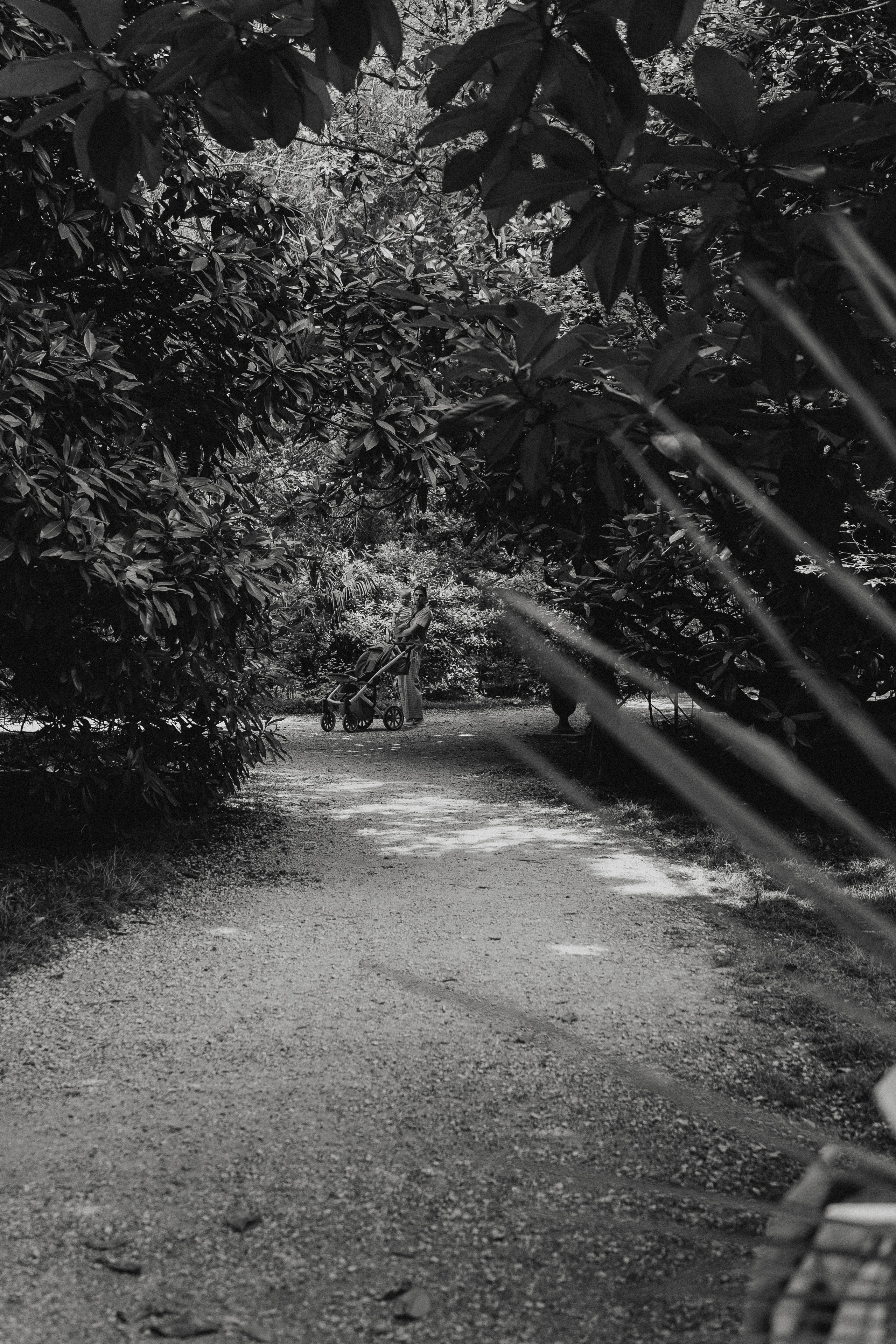 Сочи и Абхазия. Денис Марков — фотограф в Екатеринбурге