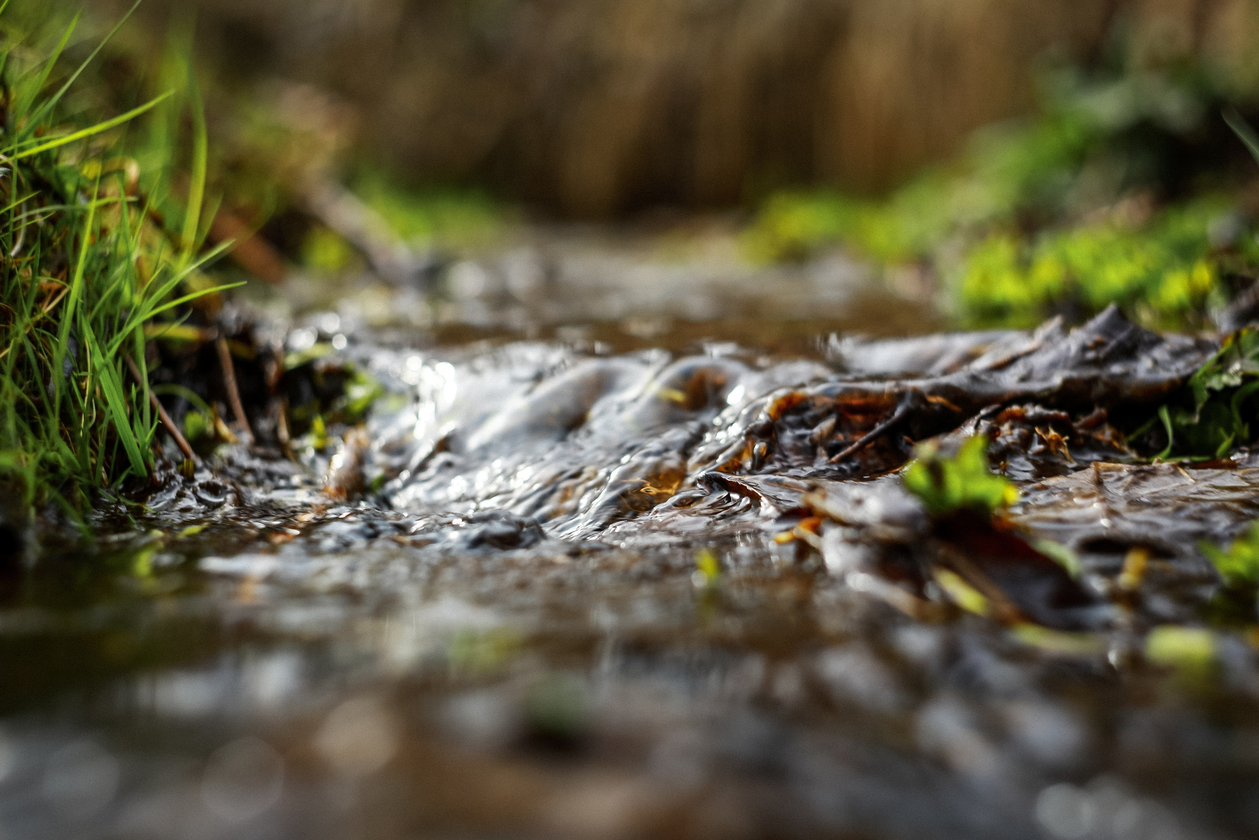 Магия обыкновенного. Фотограф-документалист и фототерапевт Настя Китаева. Город Москва