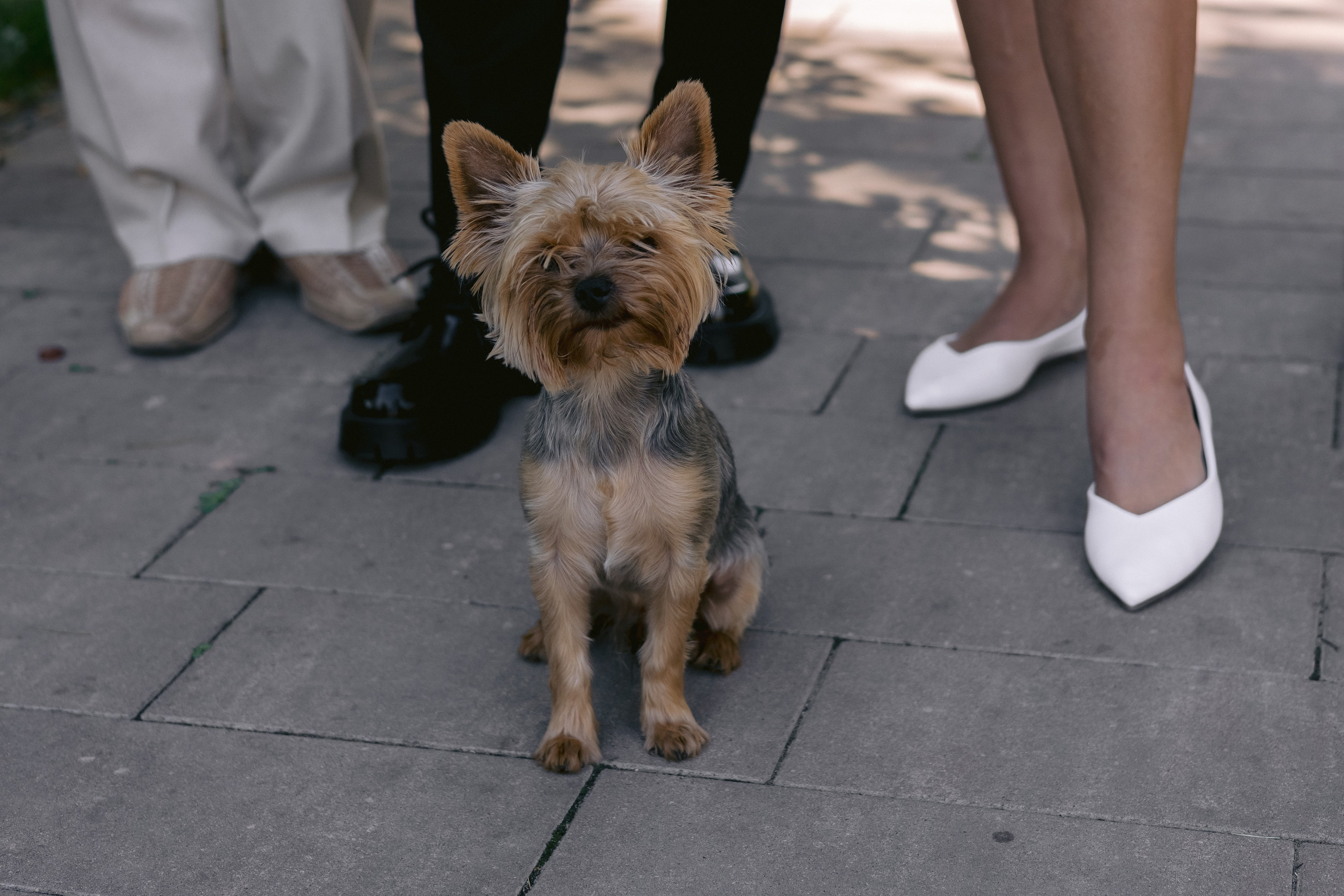Виктория, Никита (ЗАГС и прогулка). Фотограф Волгоград Кристина Прохоренко