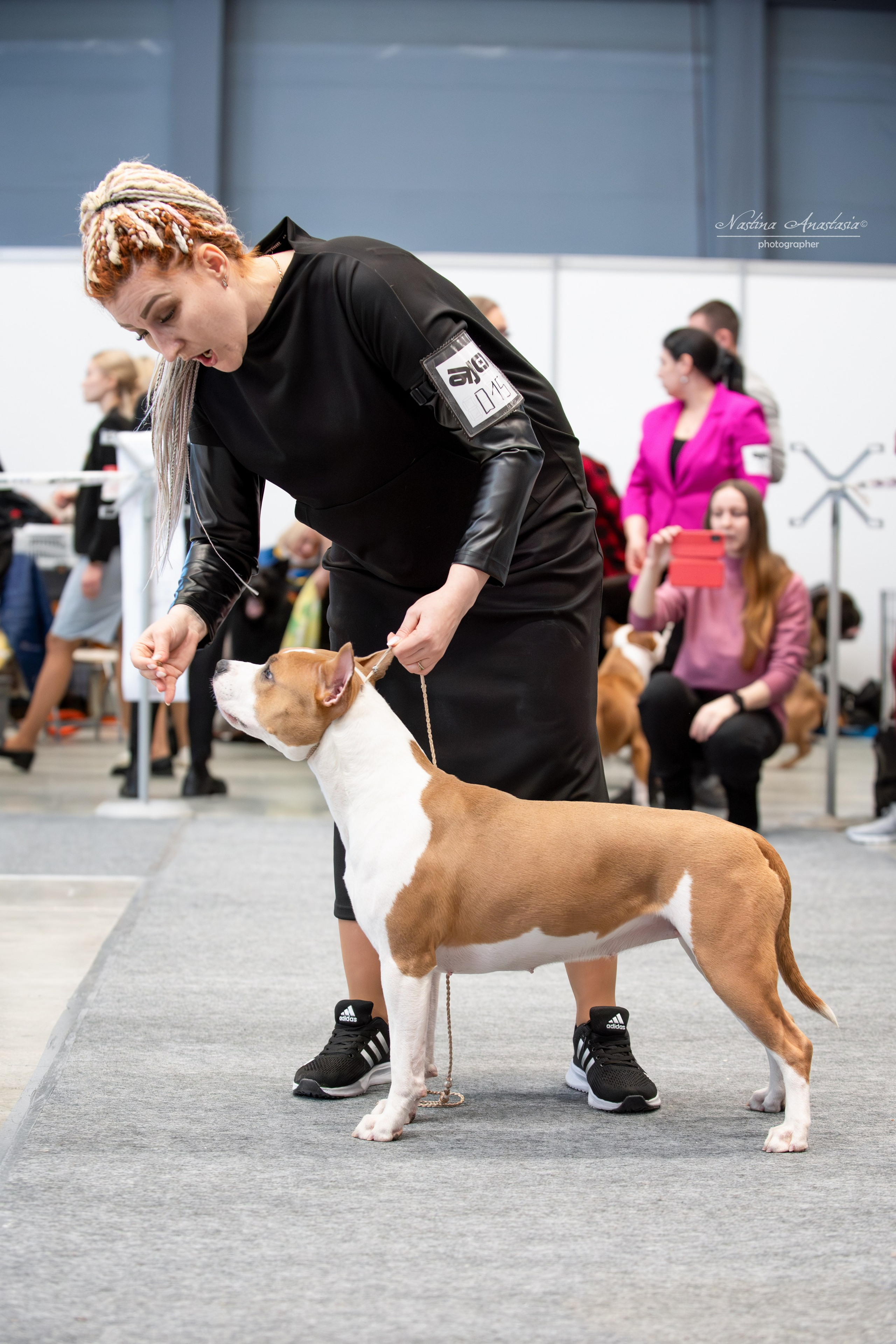 Выставки. Фотограф — Анималист