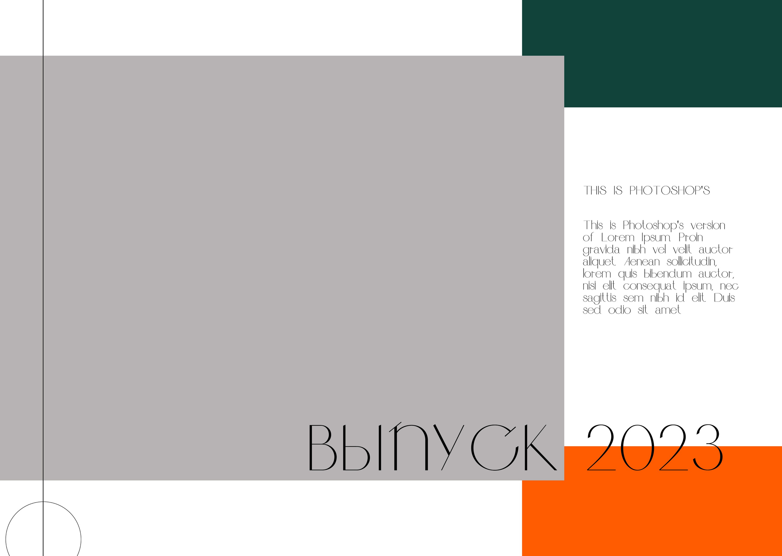 Альбом до 30 разворотов для 9 и 11 класса. Школьный фотограф Троицк