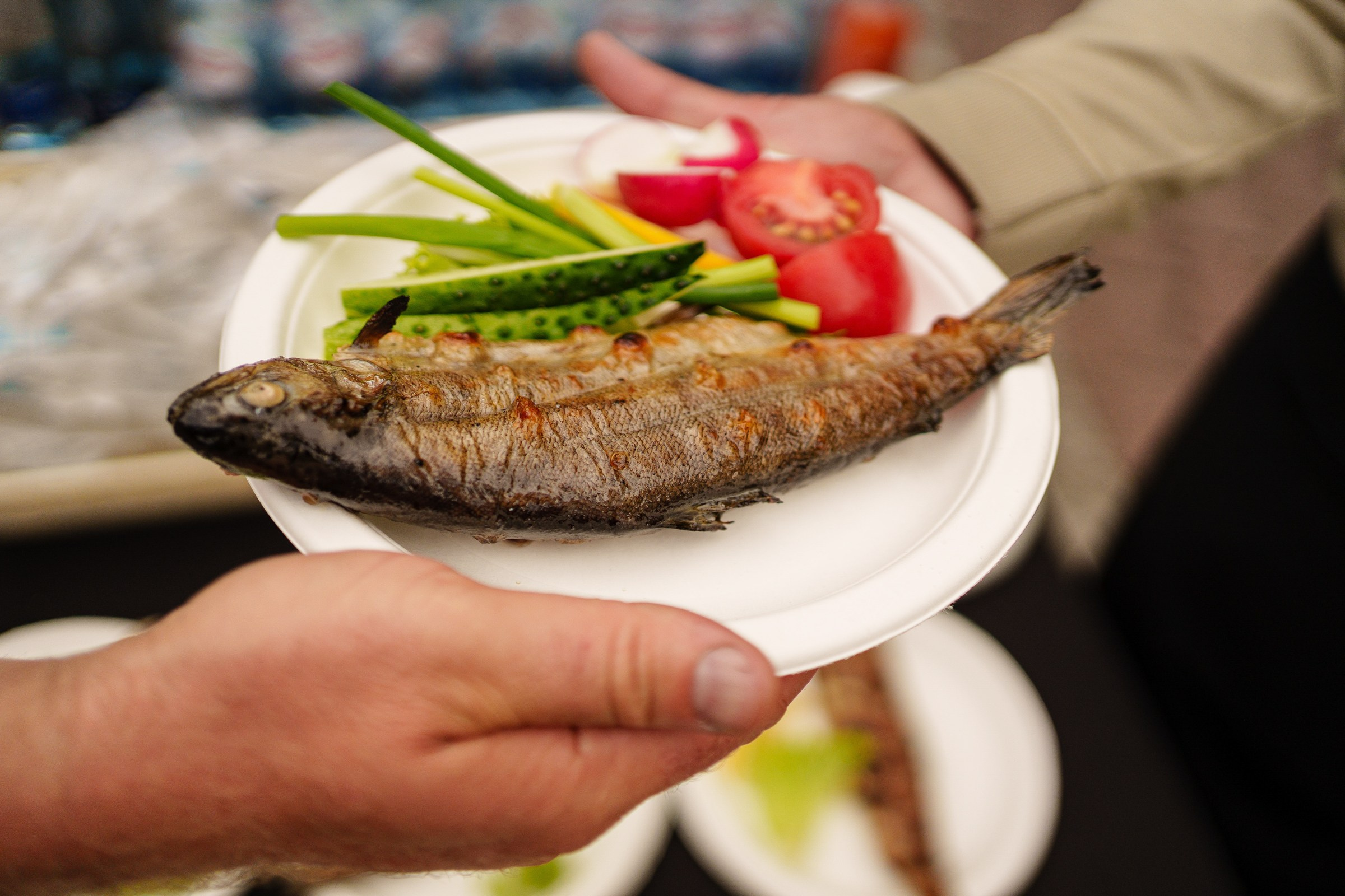 Гриль-ужины. South HUB