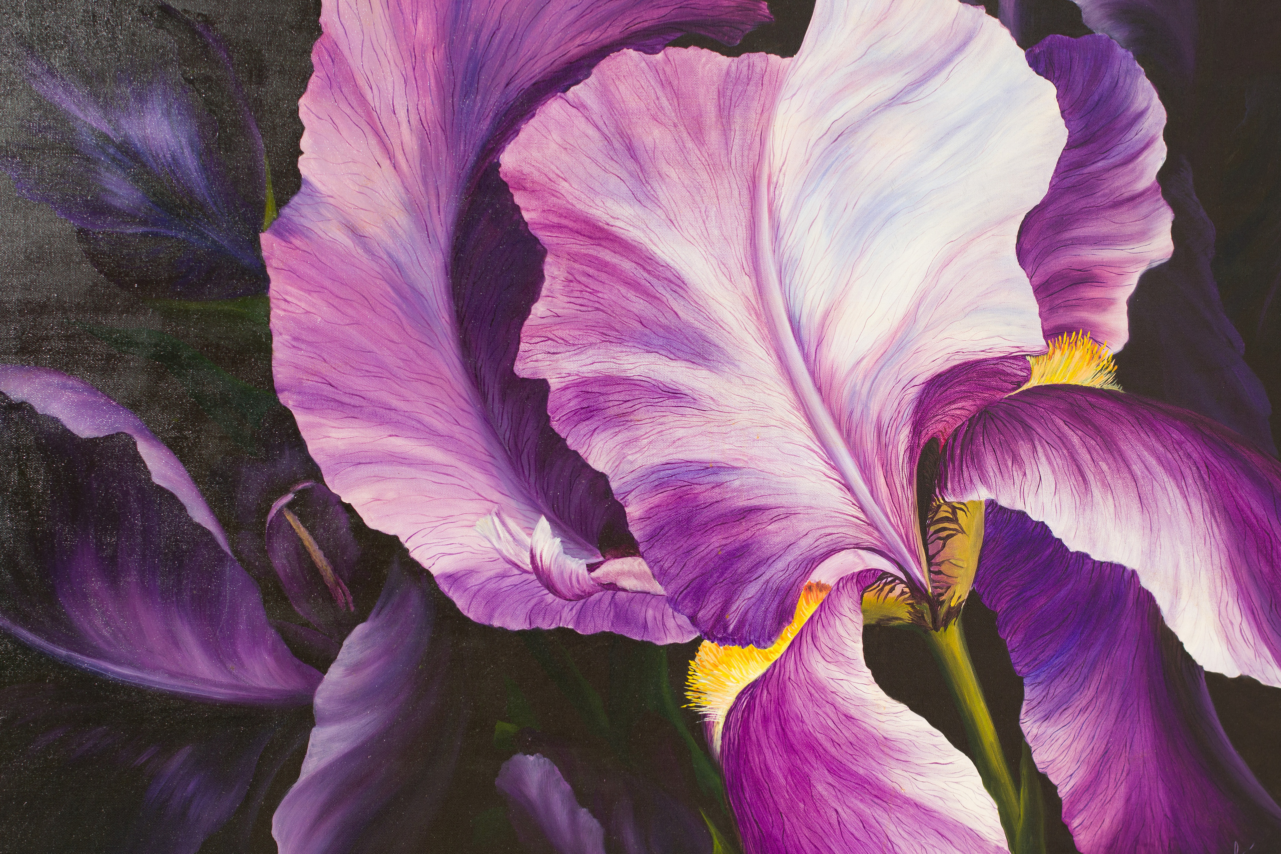 Солнечная художница. Фотограф Алёна Толмачева. Воронеж