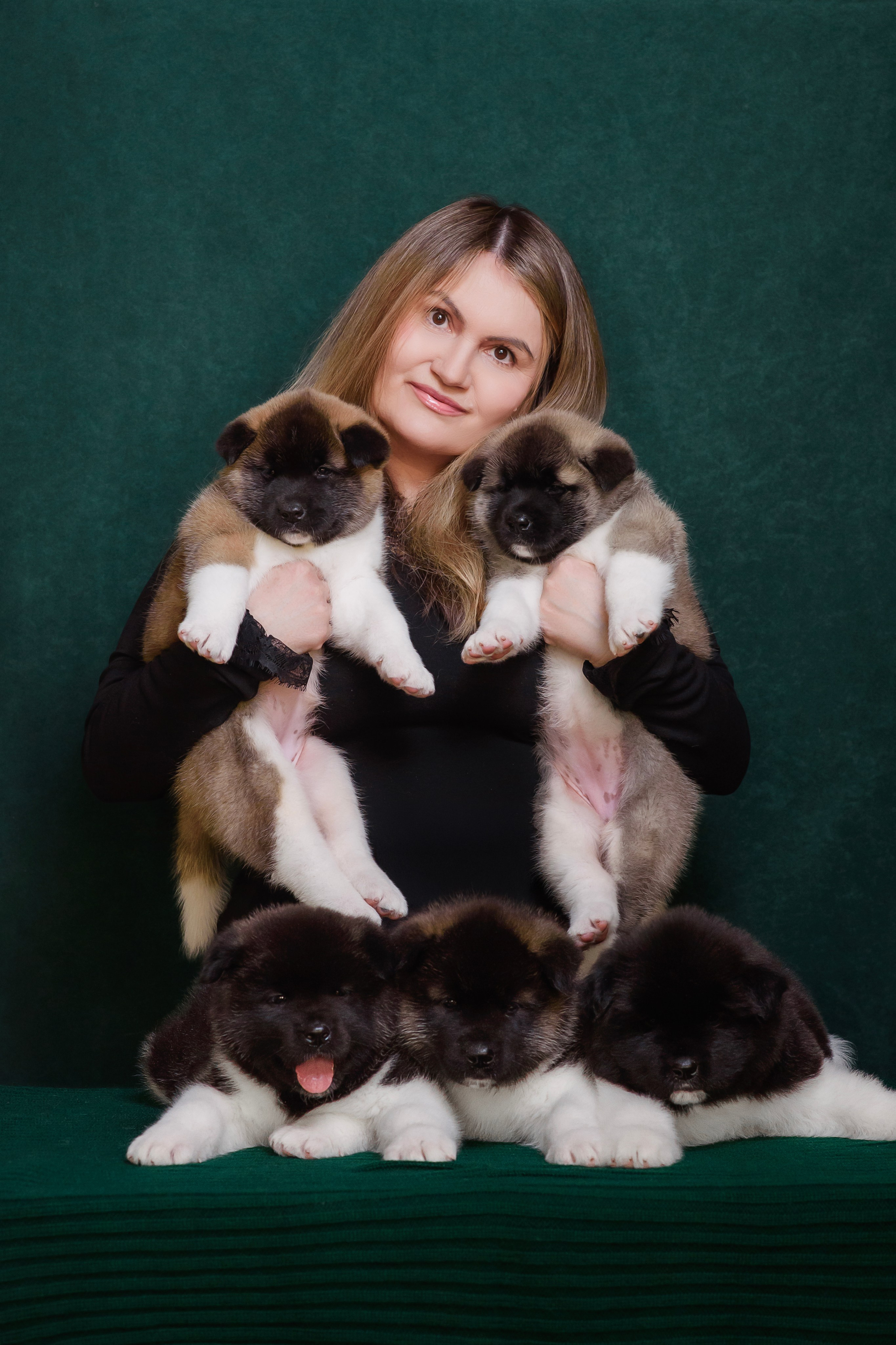 Щенки Американской Акиты. Фотограф — Анималист | Анна Абрамова