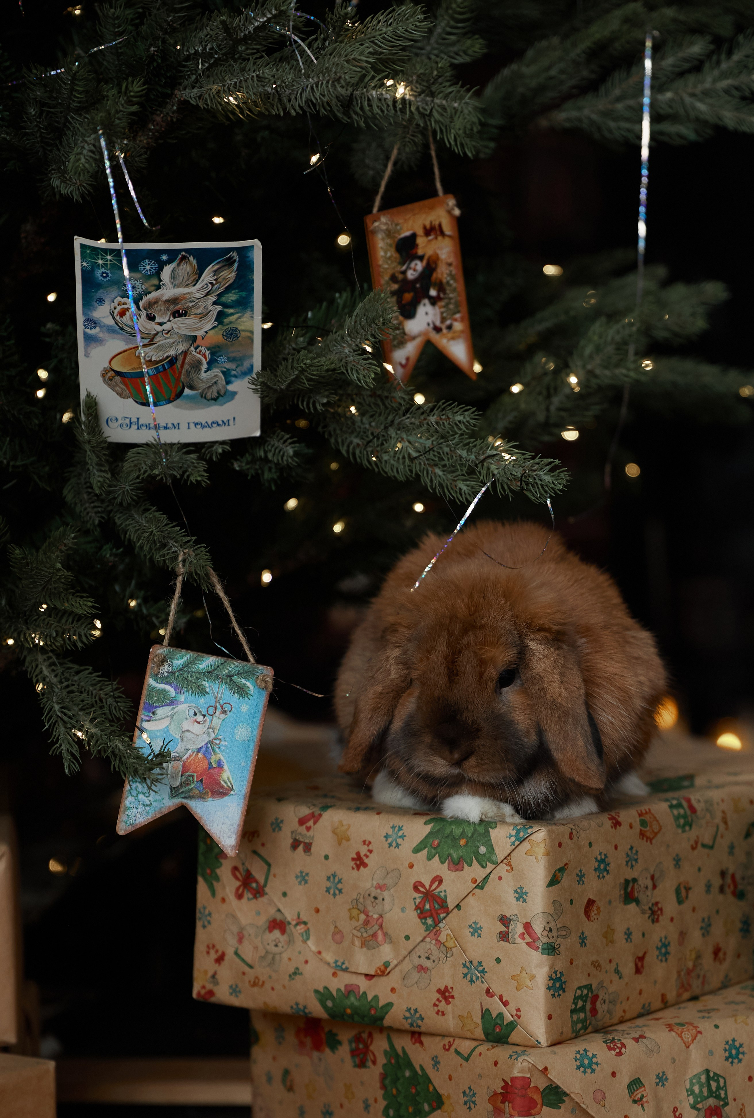 Маргарита. Фотограф женского портрета, беременности и материнства Харькова Елена