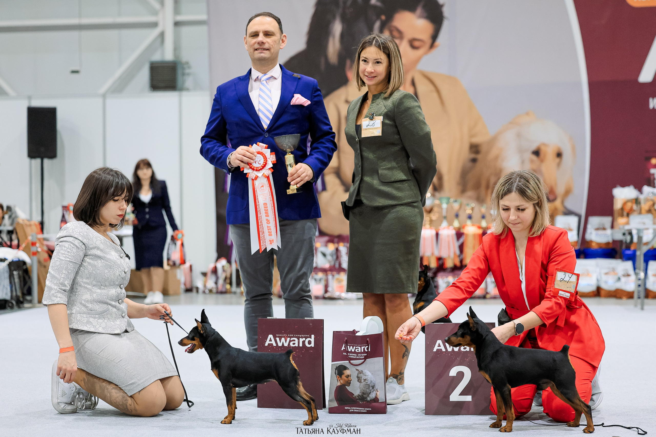 28-29.03.2026 Рейтинговая выставка в Новосибирске. Фотограф Анималист из Новосибирска Татьяна Кауфман