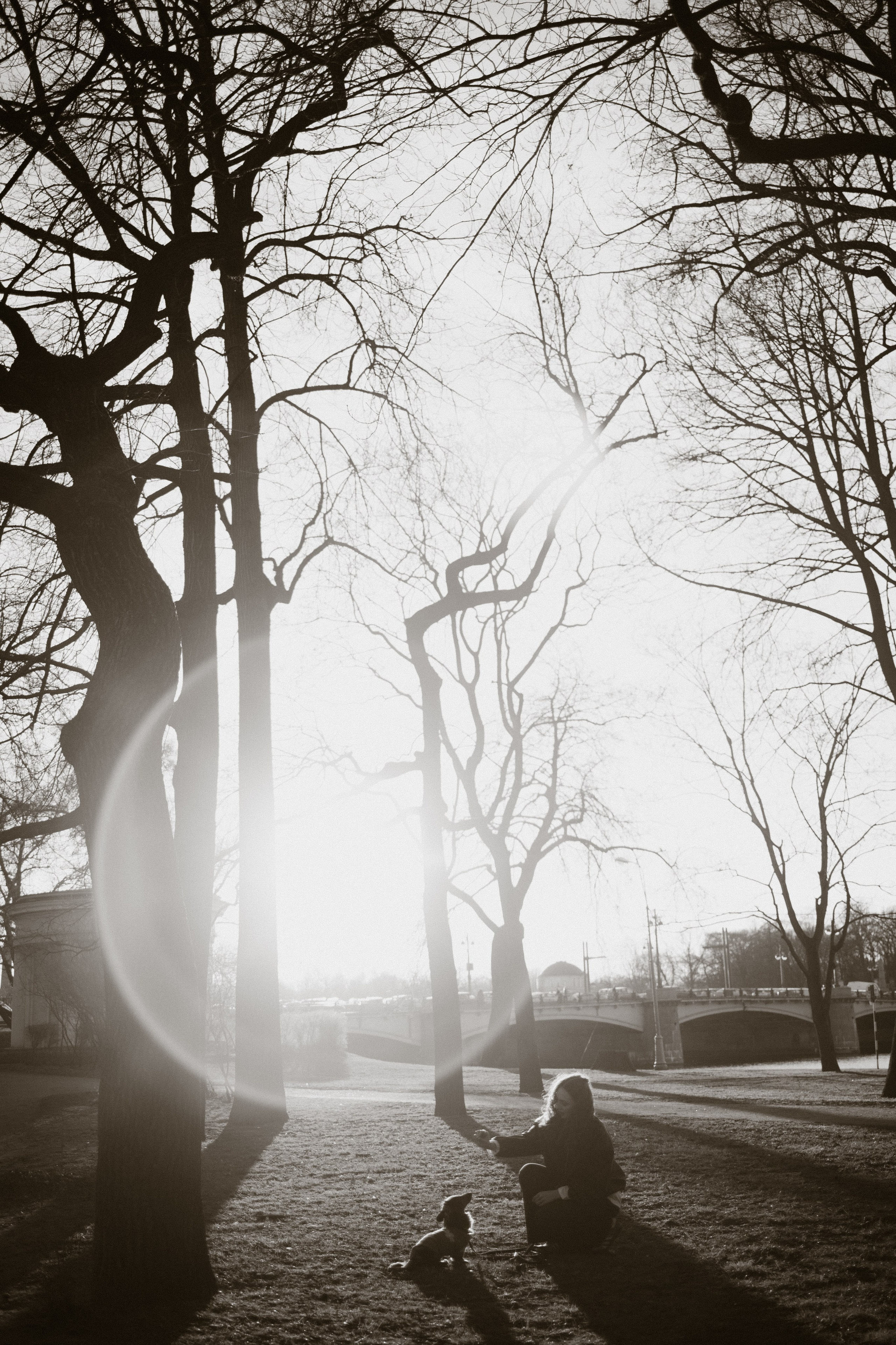 Одна прогулка из жизни Бимы. Семейный фотограф Питер •love-story•|Санкт-Петербург