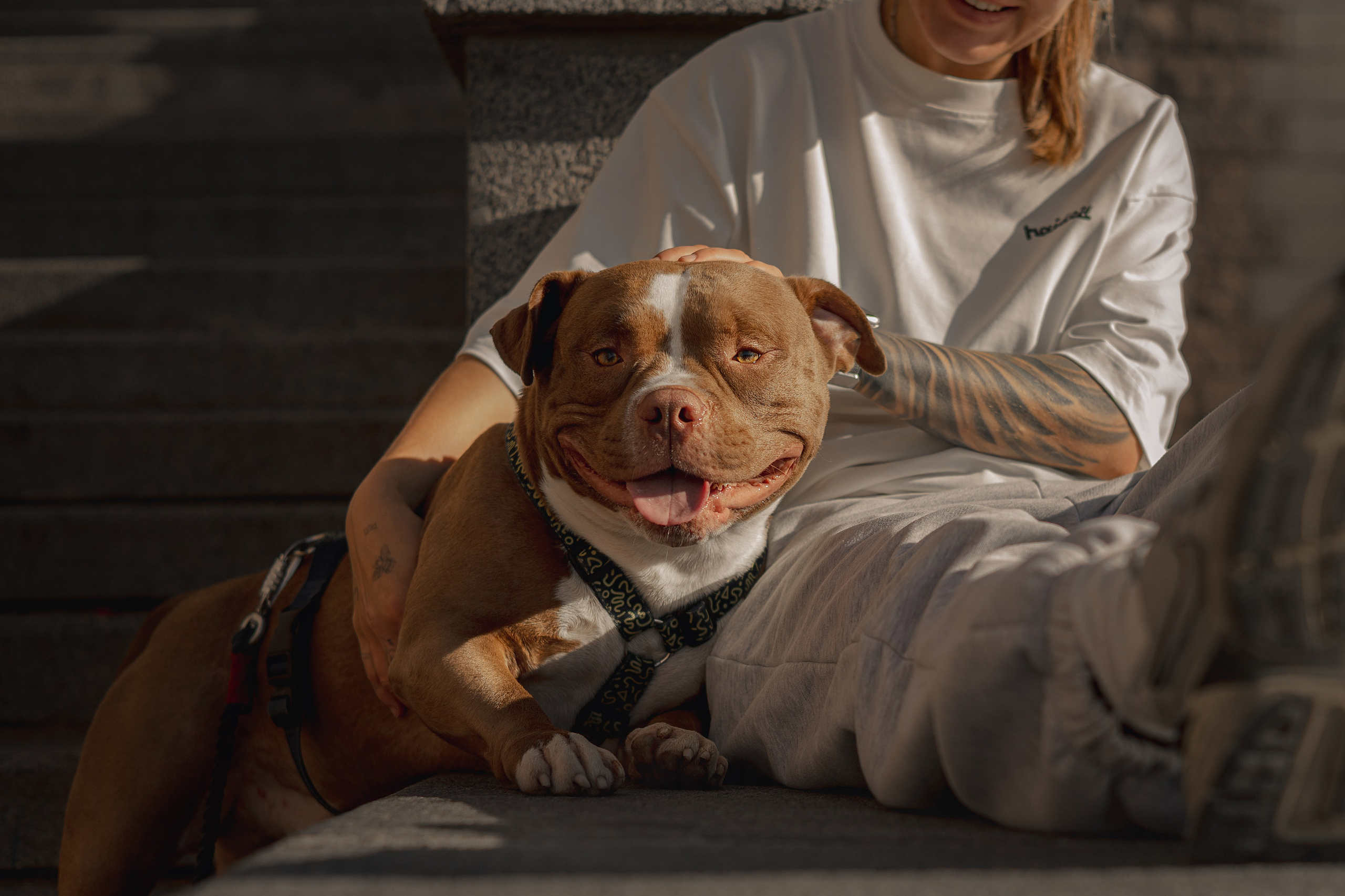 Анжела & Арес. Фотограф — анималист •love-story•|Санкт-Петербург