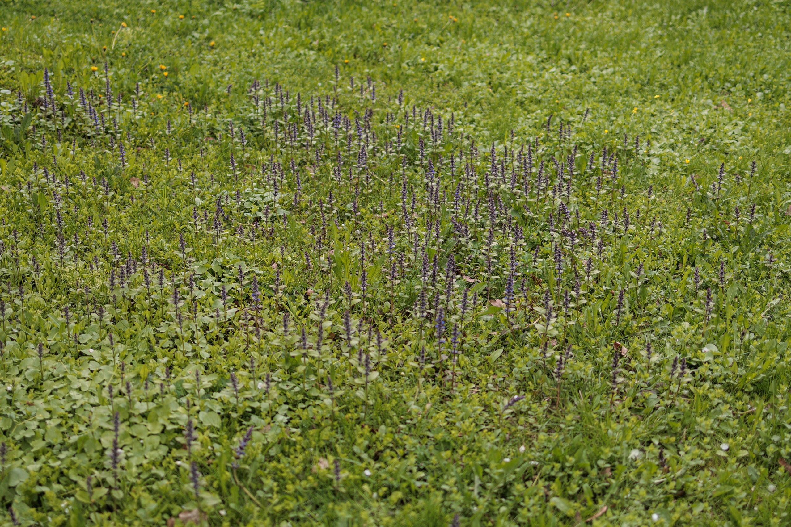 Фотоальбом с красивыми девушками (Часть 8)