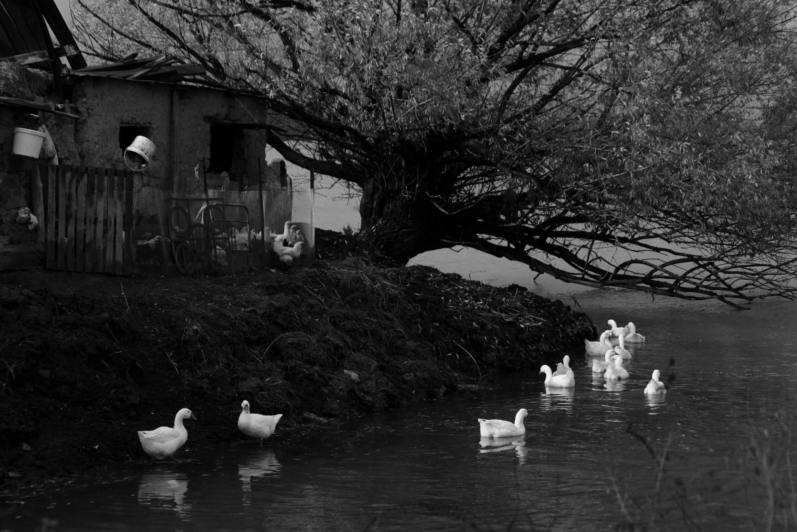 Бекстейдж сьемки кино. Профессиональная съемка в Алматы