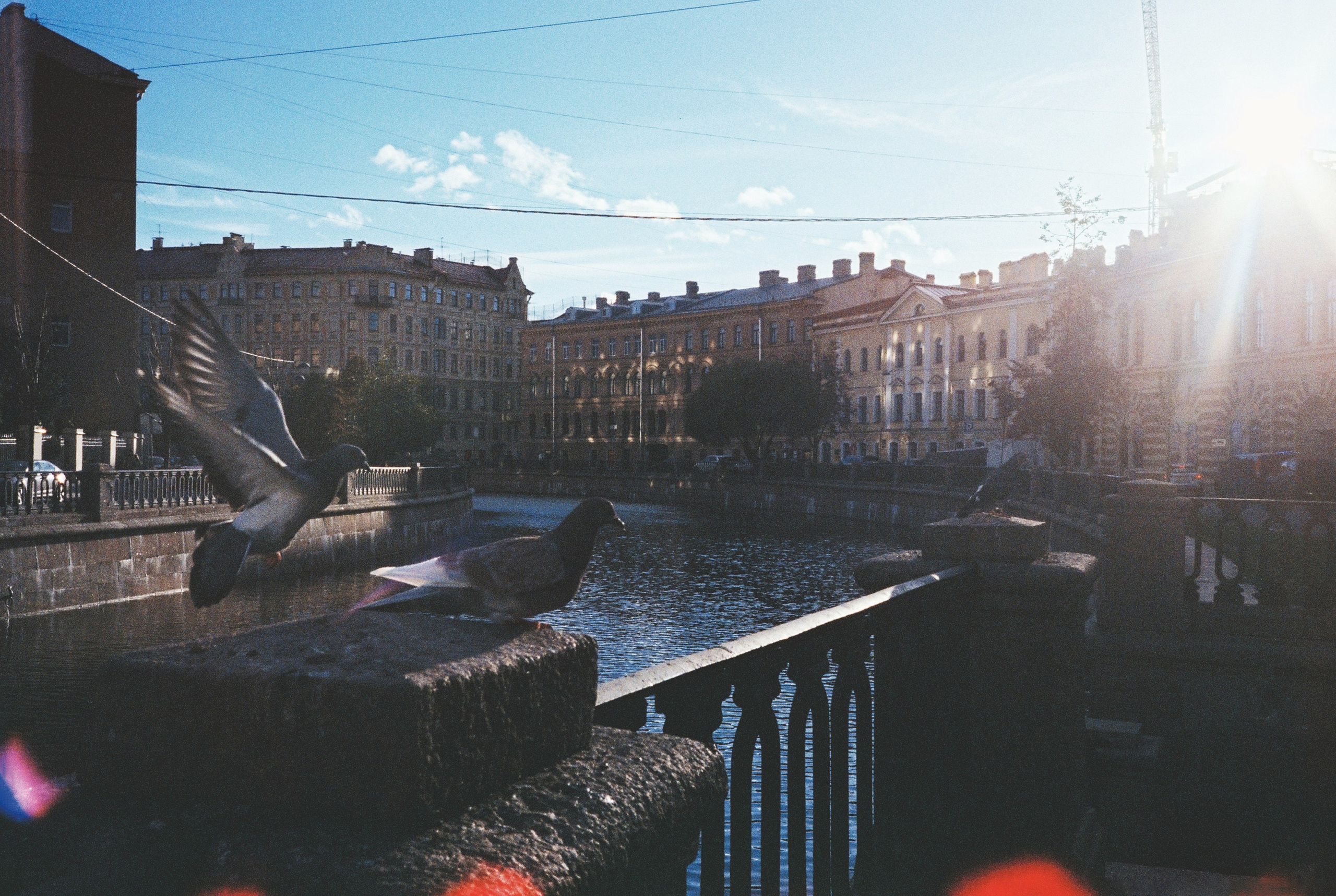 Фотографии цветные. Свадебный и семейный пленочный фотограф в Петербурге Истомина Ирина