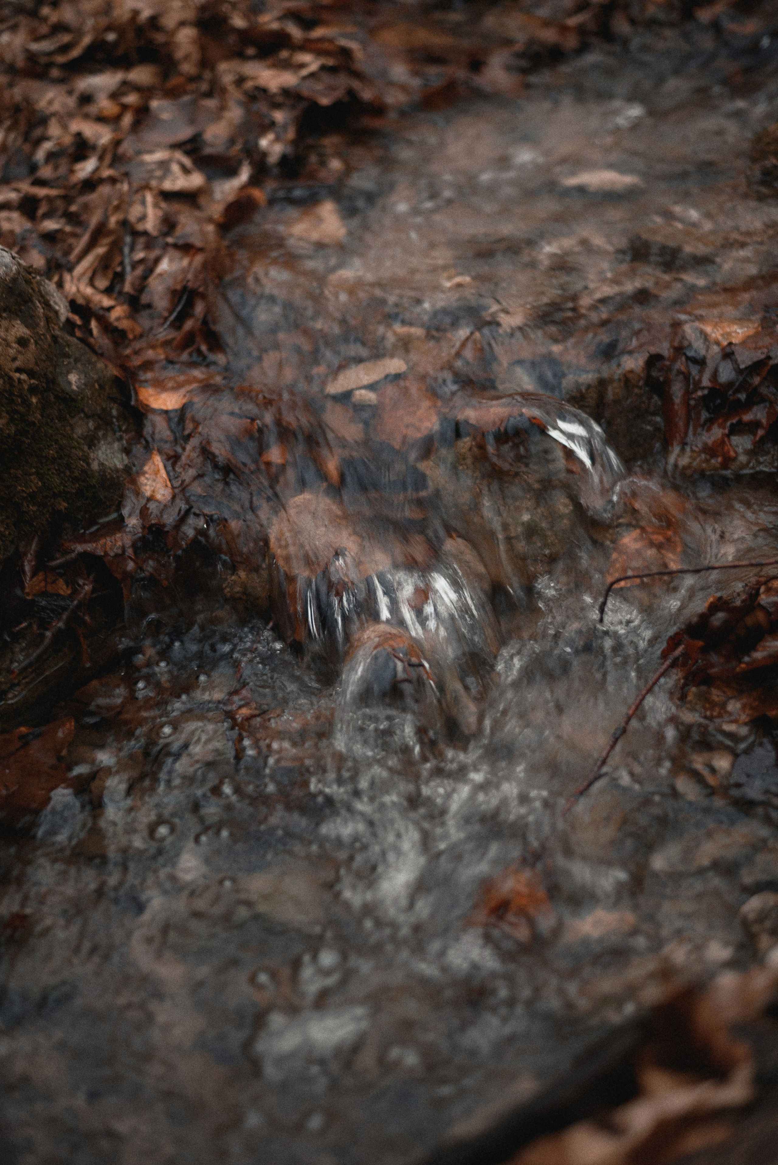 Виктория и Алексей (Крым). Свадебный фотограф в Крыму Алексей Лобач