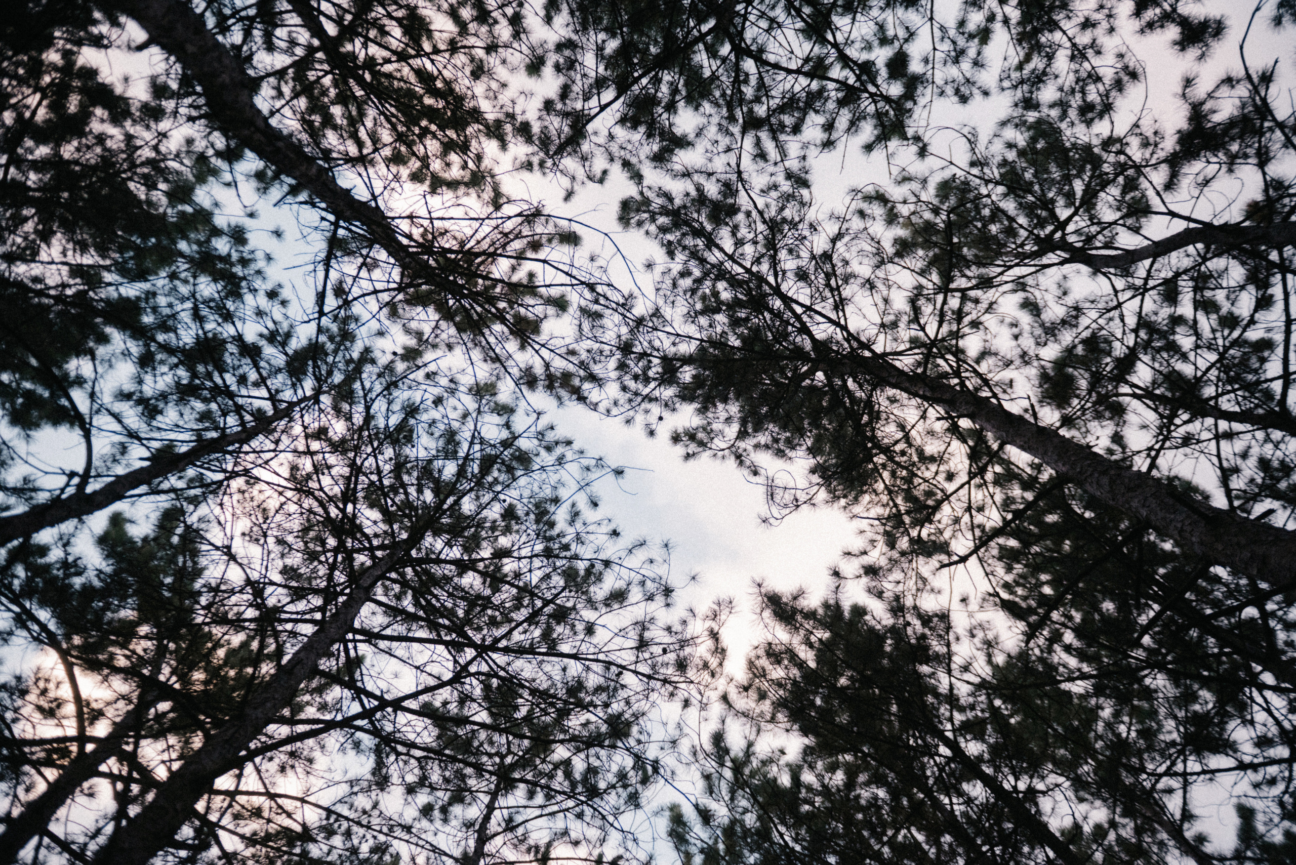 Анастасия и Сергей (Крым). Свадебный фотограф в Крыму Алексей Лобач