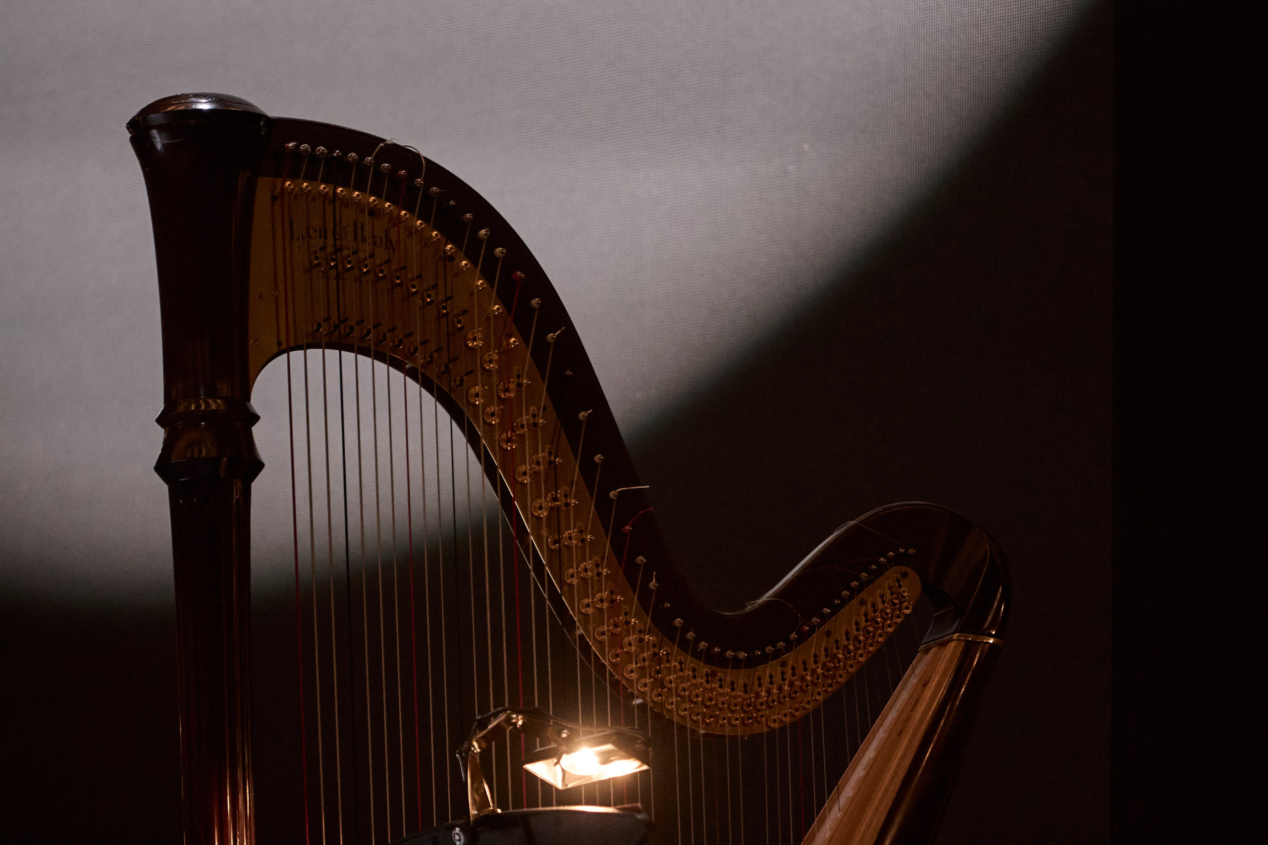 Concert. Репортажный фотограф, портретный фотограф  г. Москва