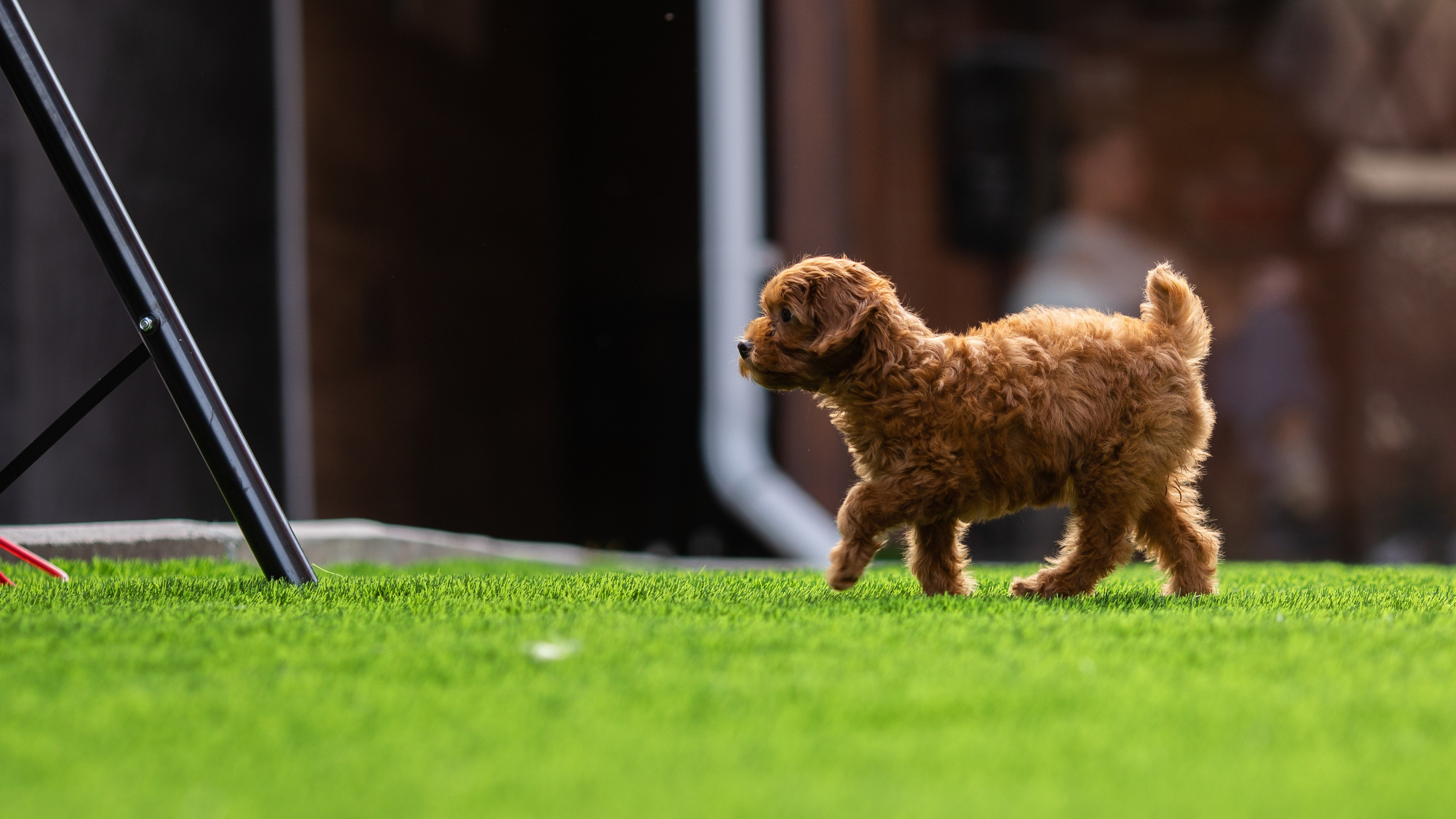 День Рождения Егорки -2025. VoronEvent. Репортажный и свадебный фотограф в Челябинске Елисеев Павел