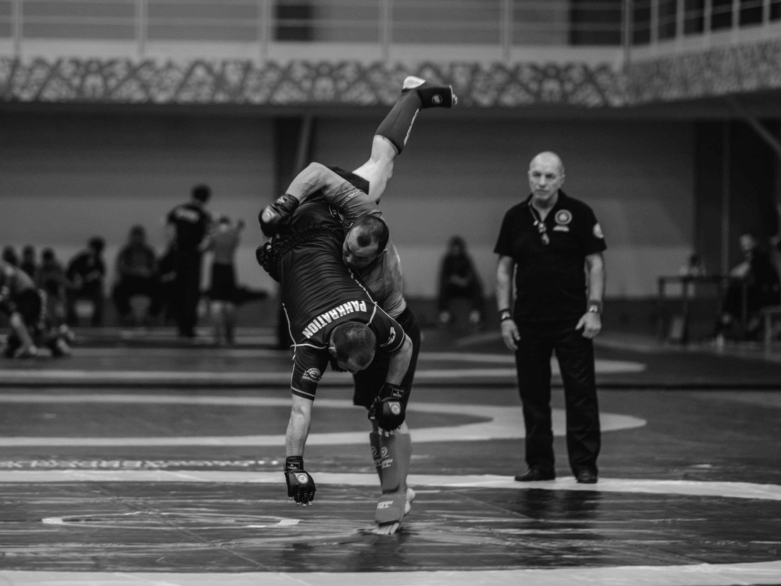 Кубок России по спортивной борьбе панкратион `23. Портретный фотограф в Москве Дарья Цезария