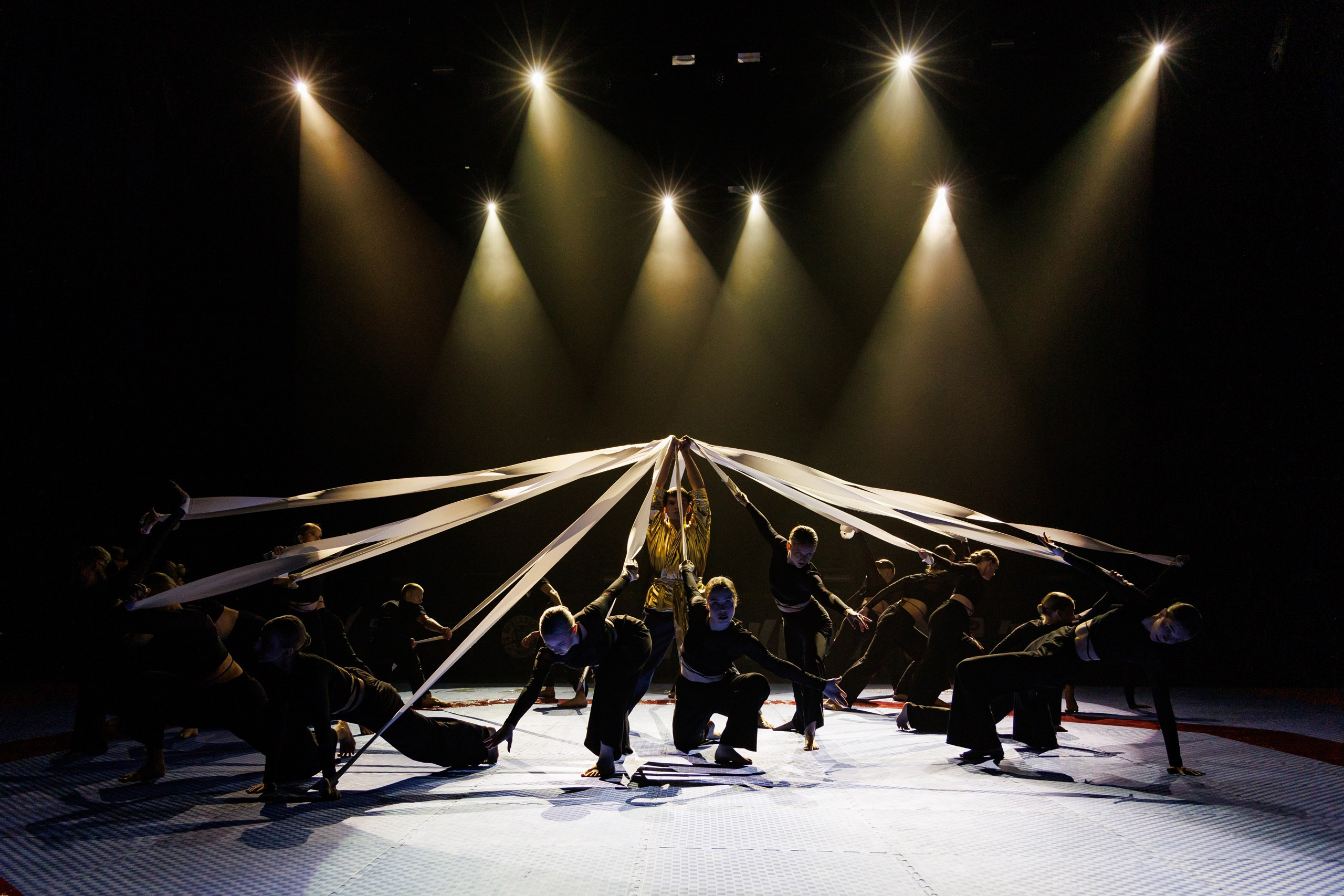 ПроТхэквондо Тур | Финальный этап