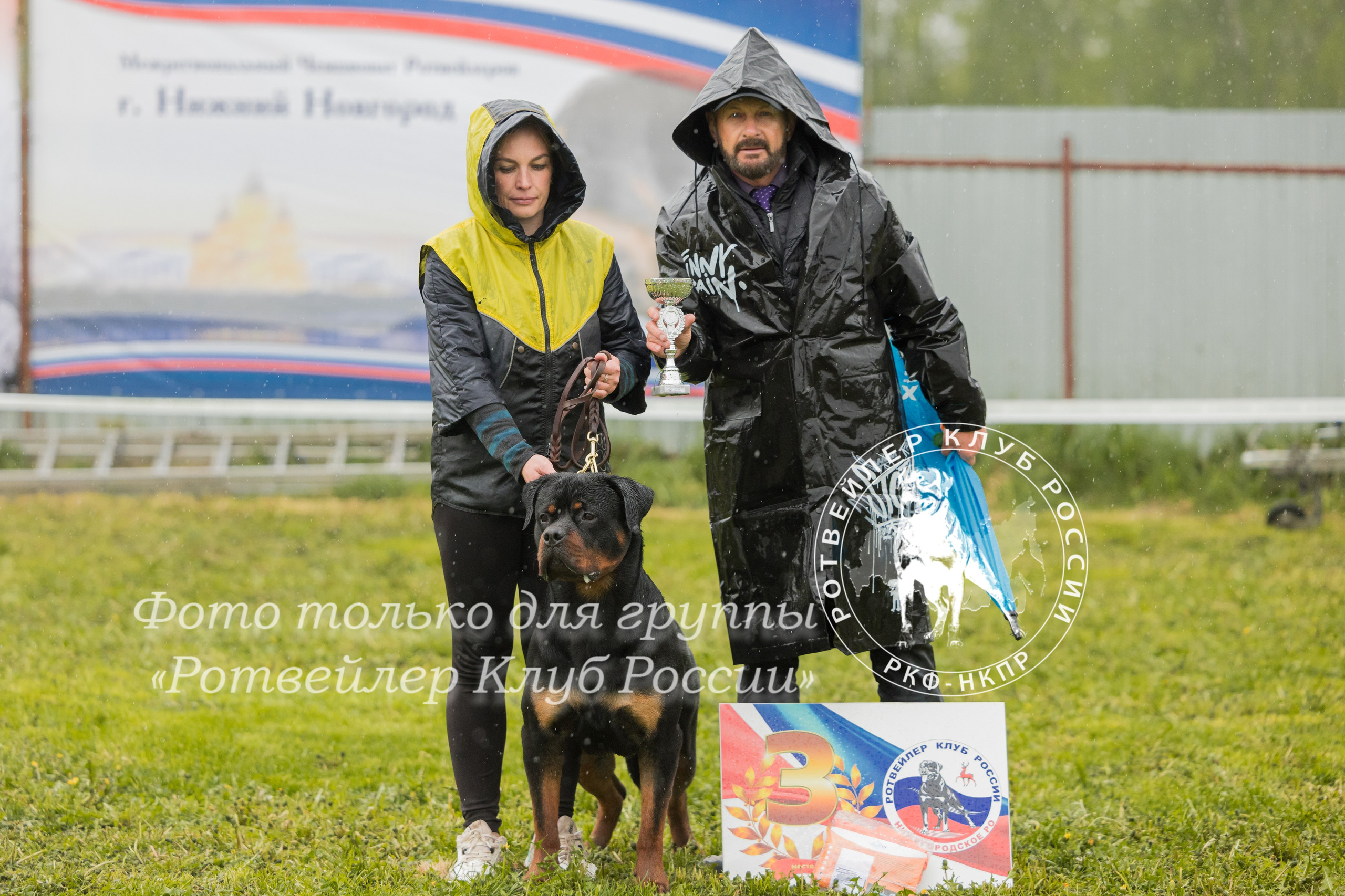 Нижний Новгород 2хмоно ротвейлеров 10-11.05.2025. Фотограф-анималист Юлия Германика