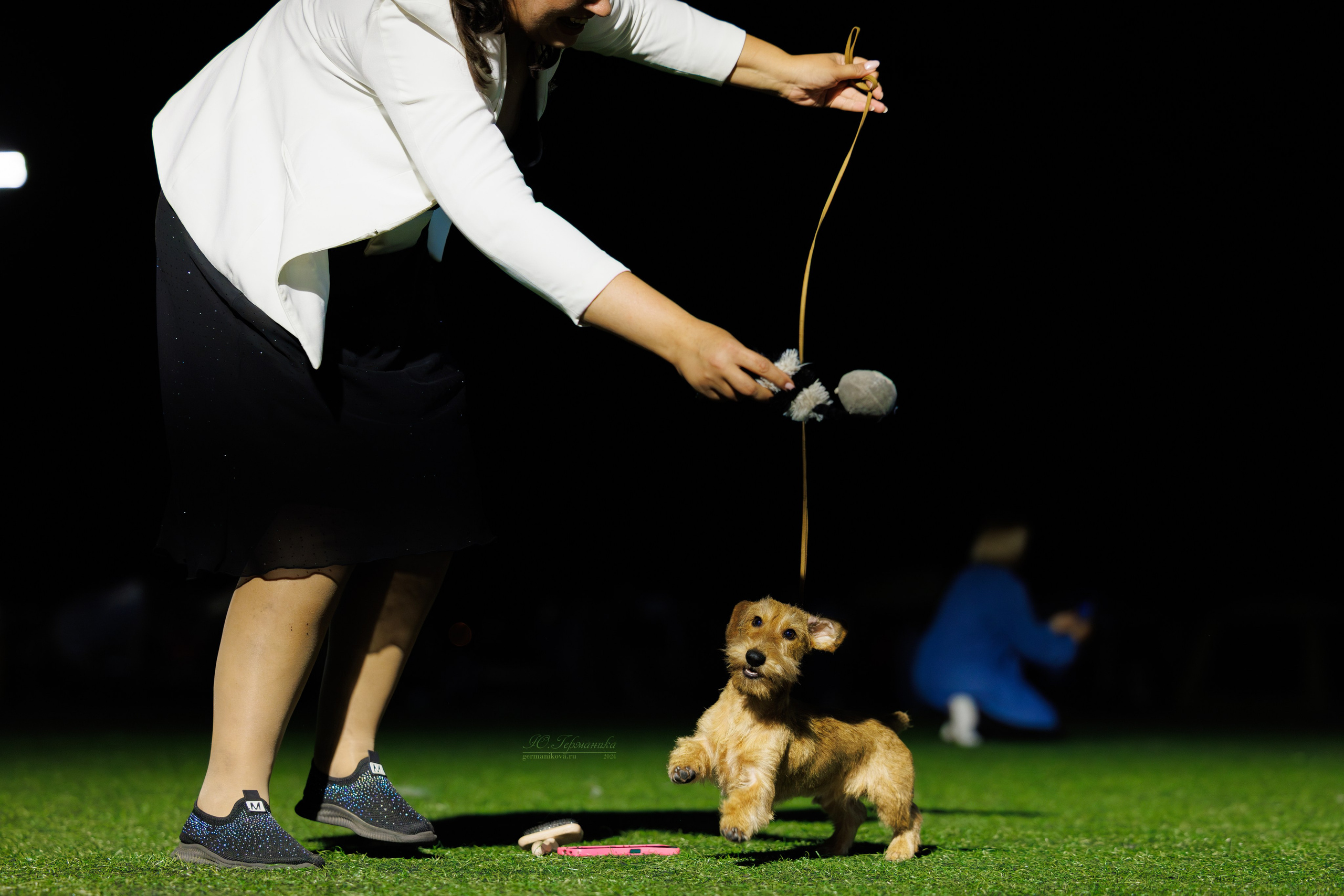 Волгоград 2-4.08.2024. Фотограф-анималист Юлия Германика