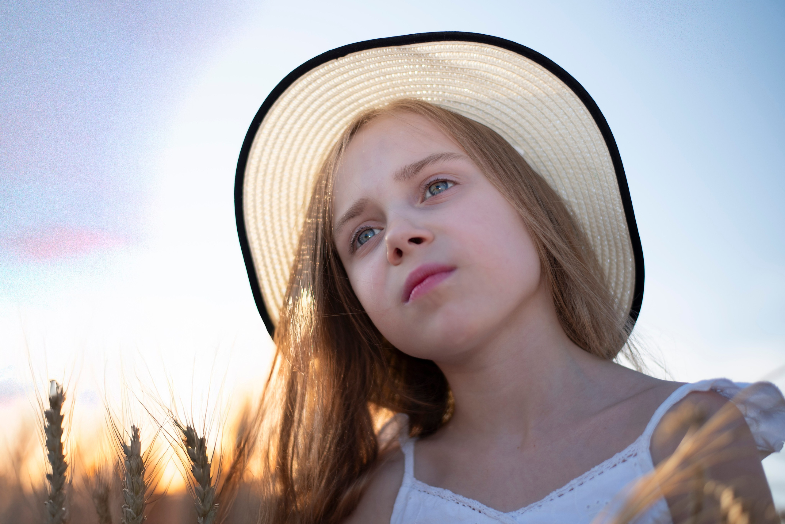 Поле пшеницы. Главная