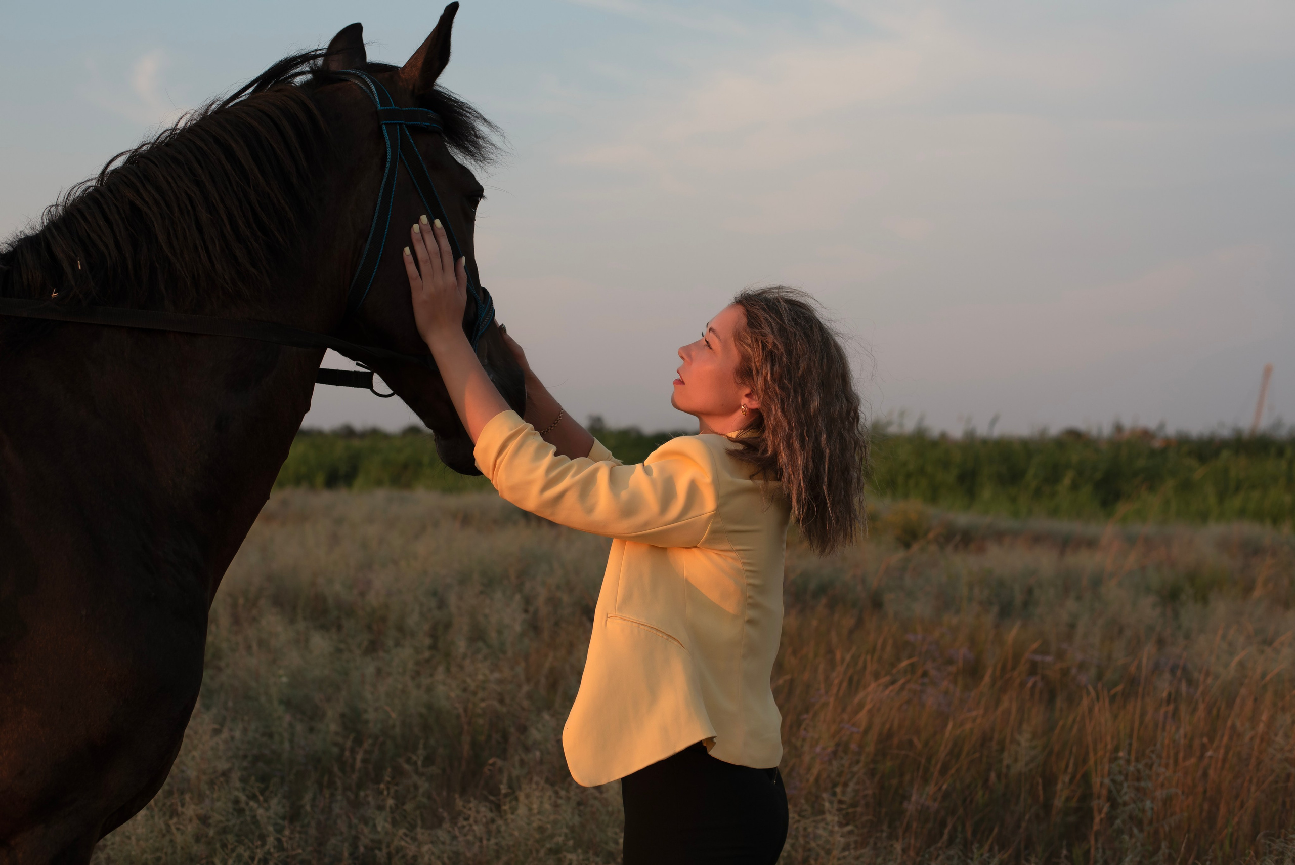 Леди и лошадь. Главная