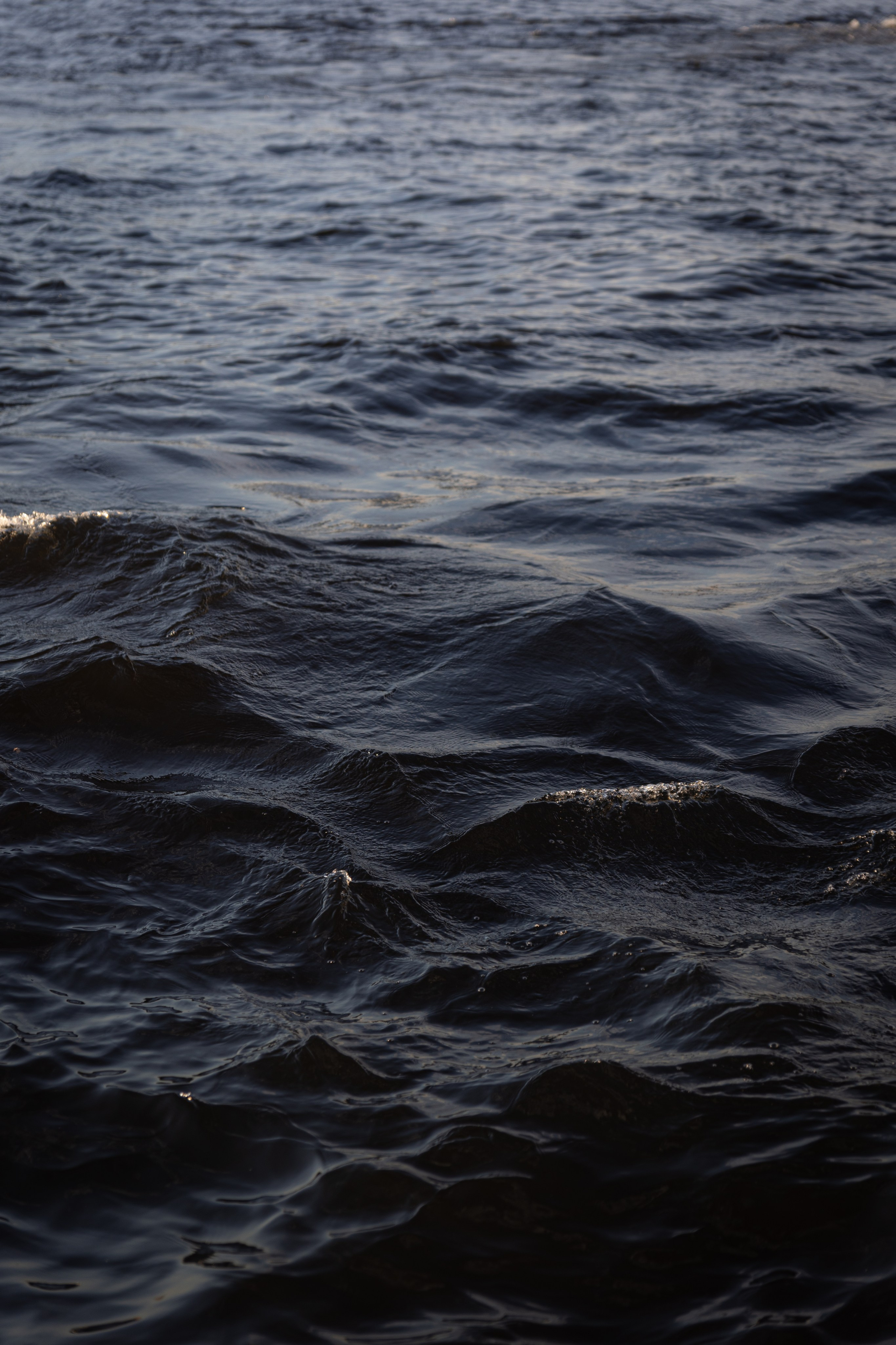 ПМЭФ'24. Ваш фотограф — Александра Андрущенко