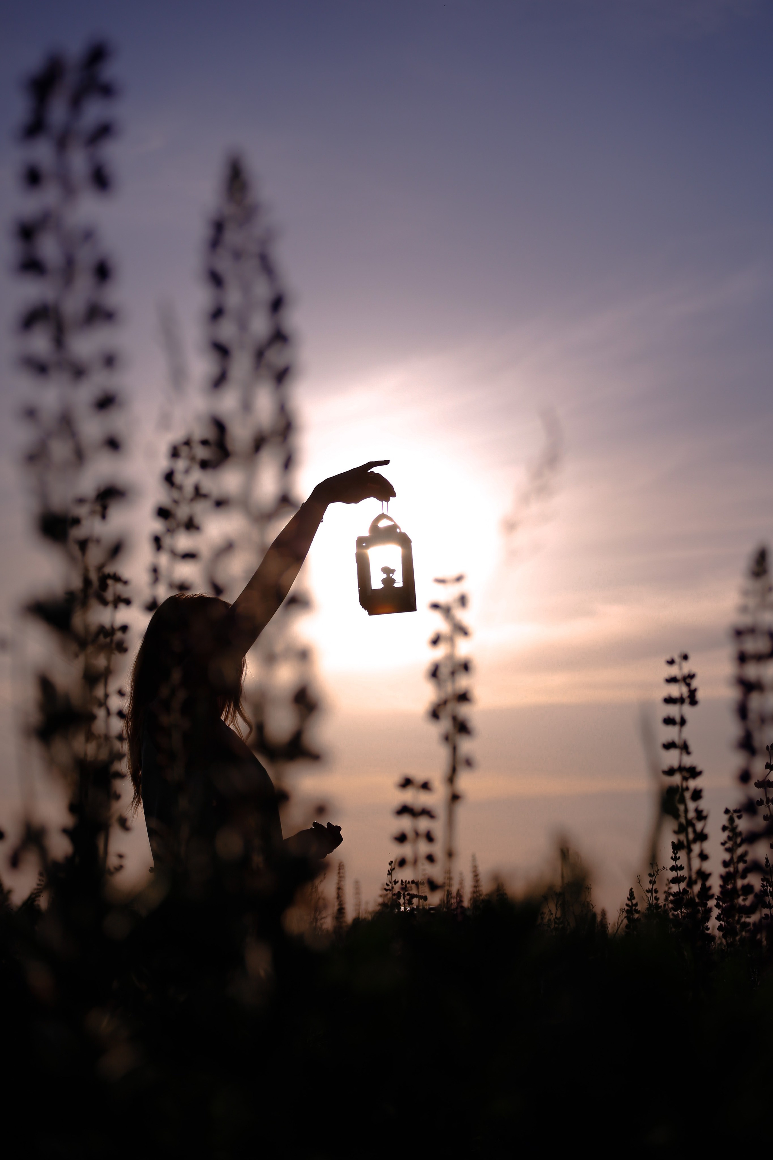 Среди люпинов. Efremovaphoto.ru