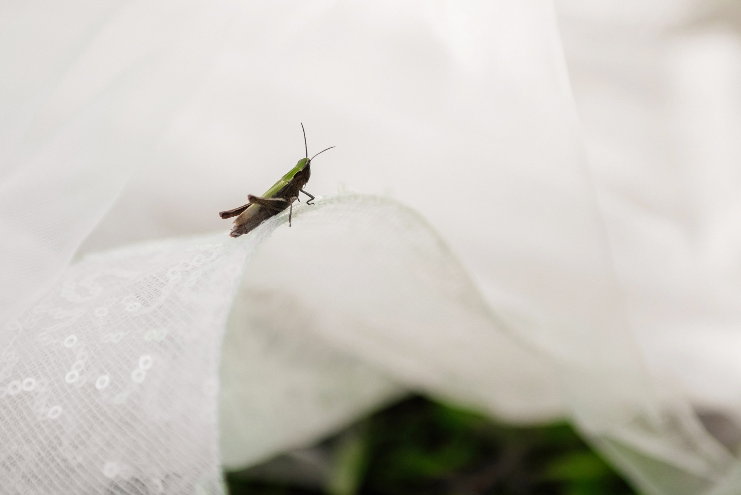 Роман & Гузель. Ваш свадебный фотограф Владимир Ямулин / Стерлитамак и РБ