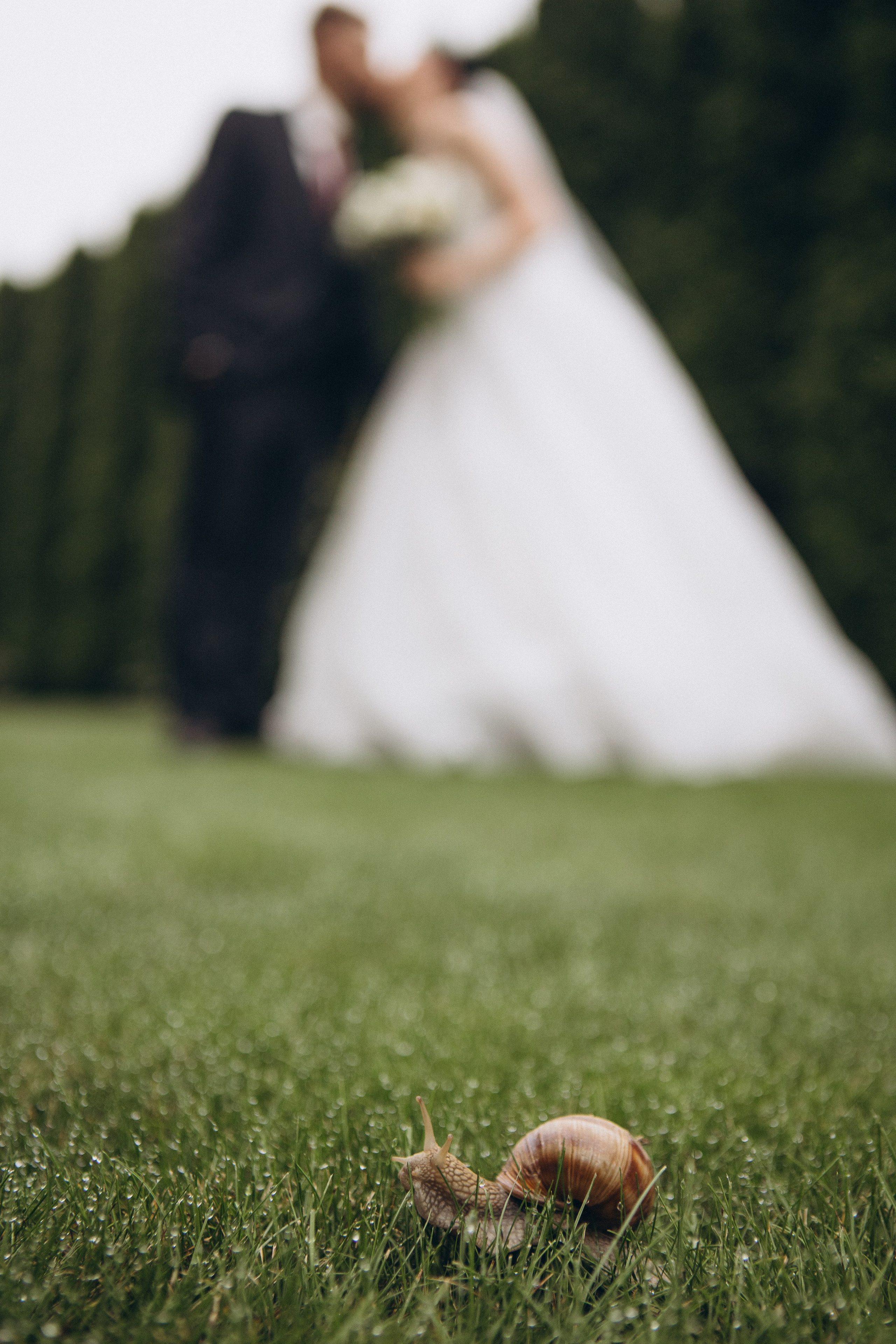 Wedding day Влад & Настя. Алёна Берёзка фотограф Минск