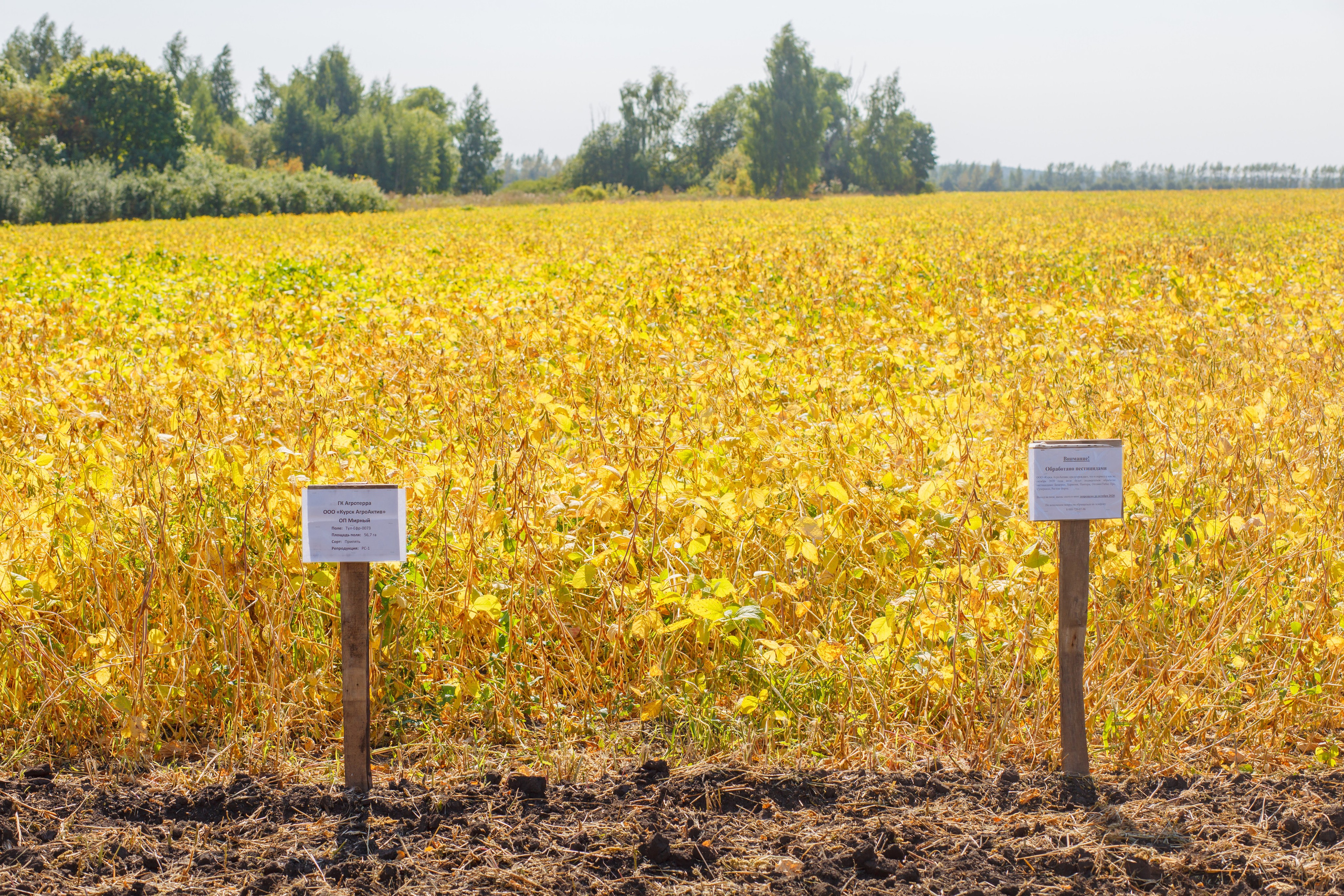 Агротерра. Фотограф Яков Поспехов
