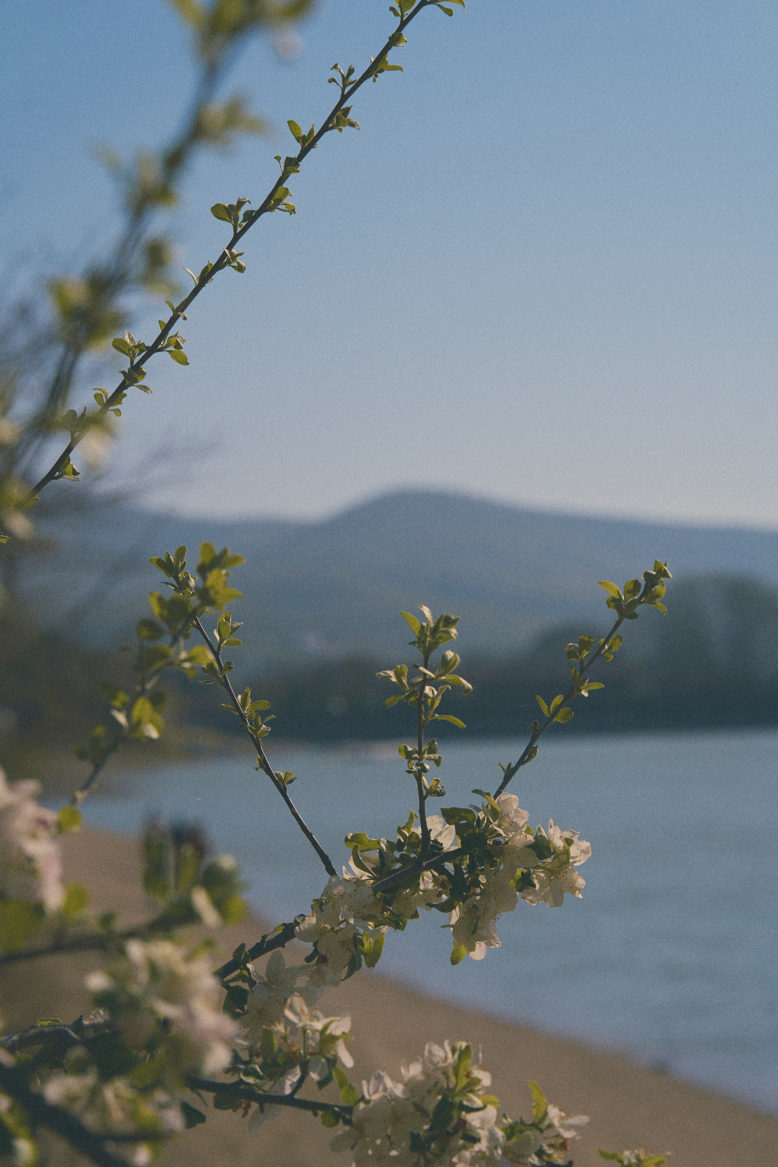 Krasnodar. Гасанова Алина|Фотограф в Санкт-Петербурге