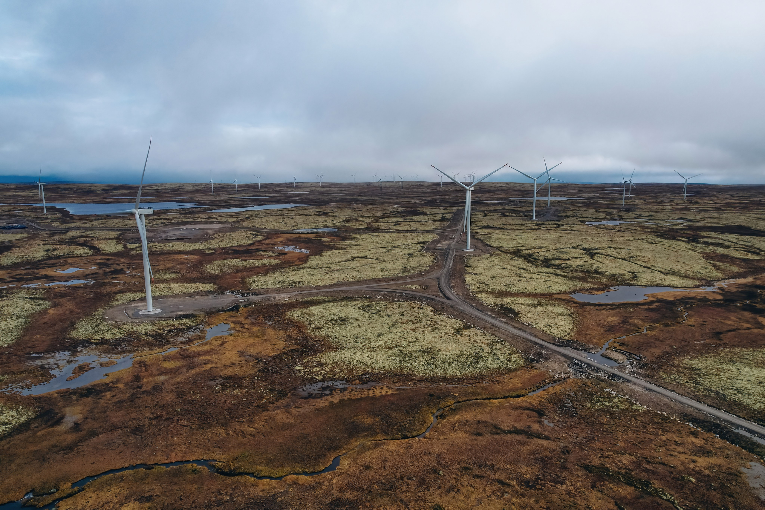 СЕВЕР. Event фотограф Степанова Александра