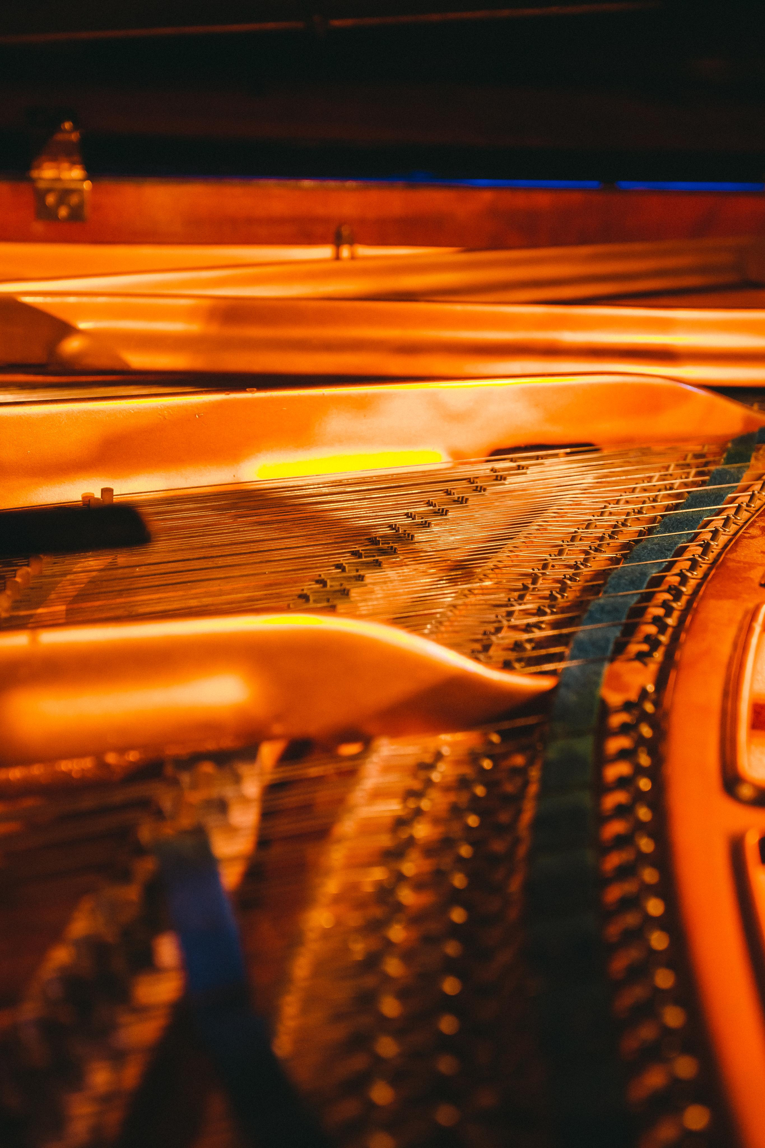 PSYCHODELTA. Фотограф Сонкина Татьяна