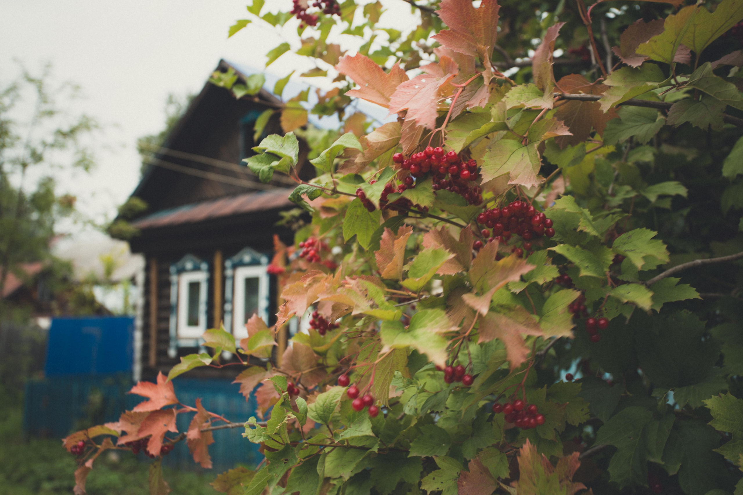 Сарапул. Photographer Sonkina Tatiana (Tanya Ash)