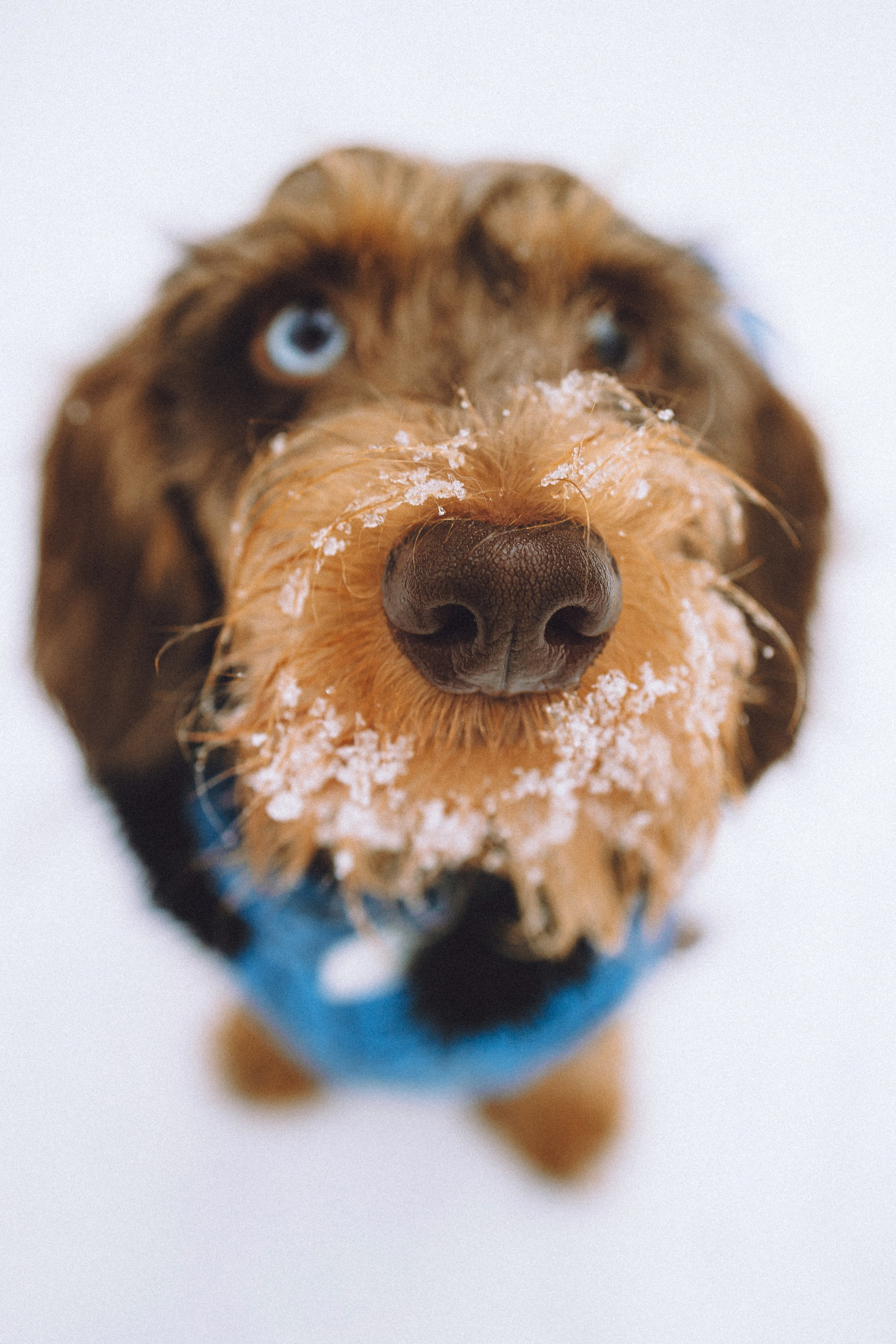 Каспер и его семья