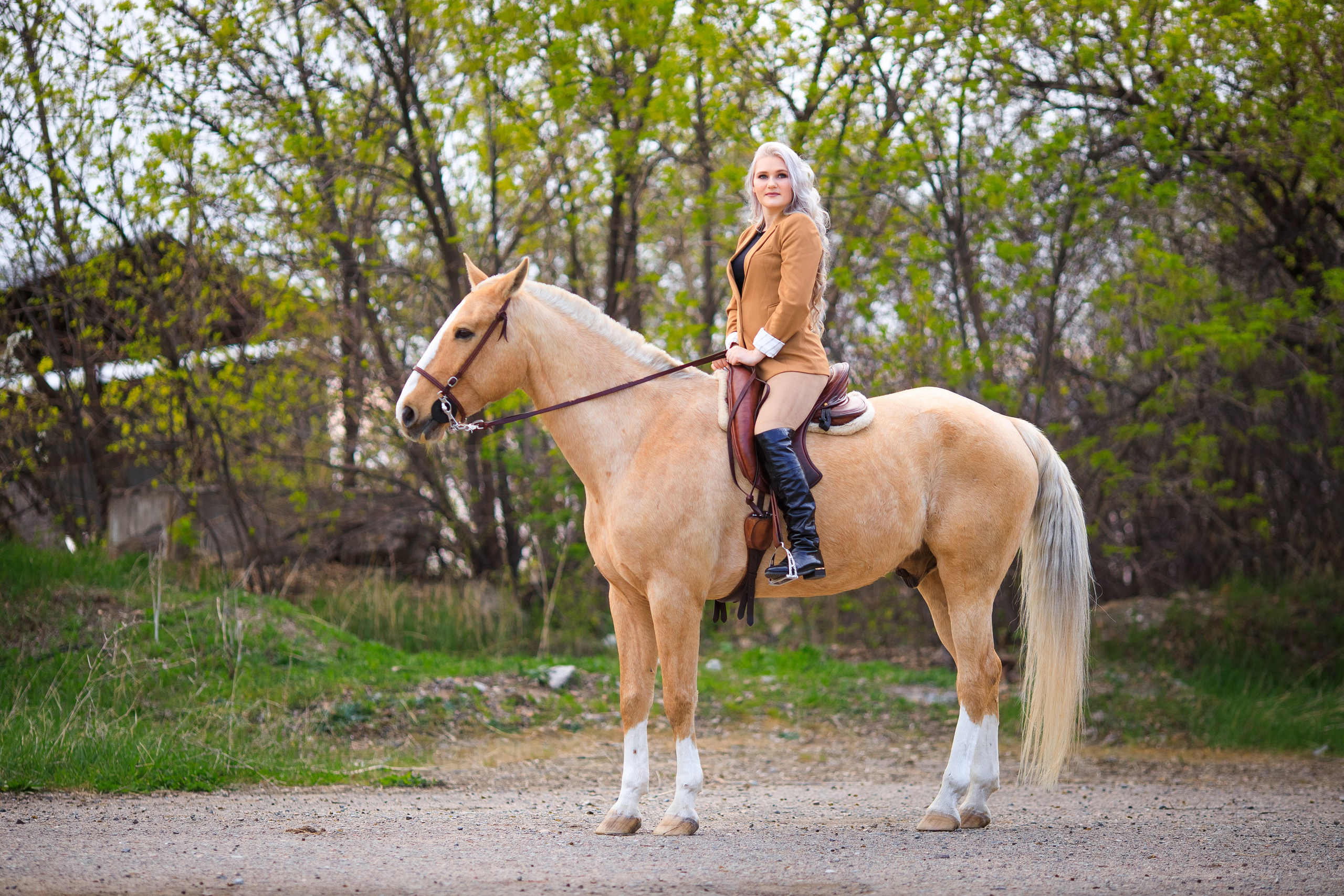 LoveStory с лошадью в Алматы. Свадебный и семейный фотограф в Алматы Алексей Балышев